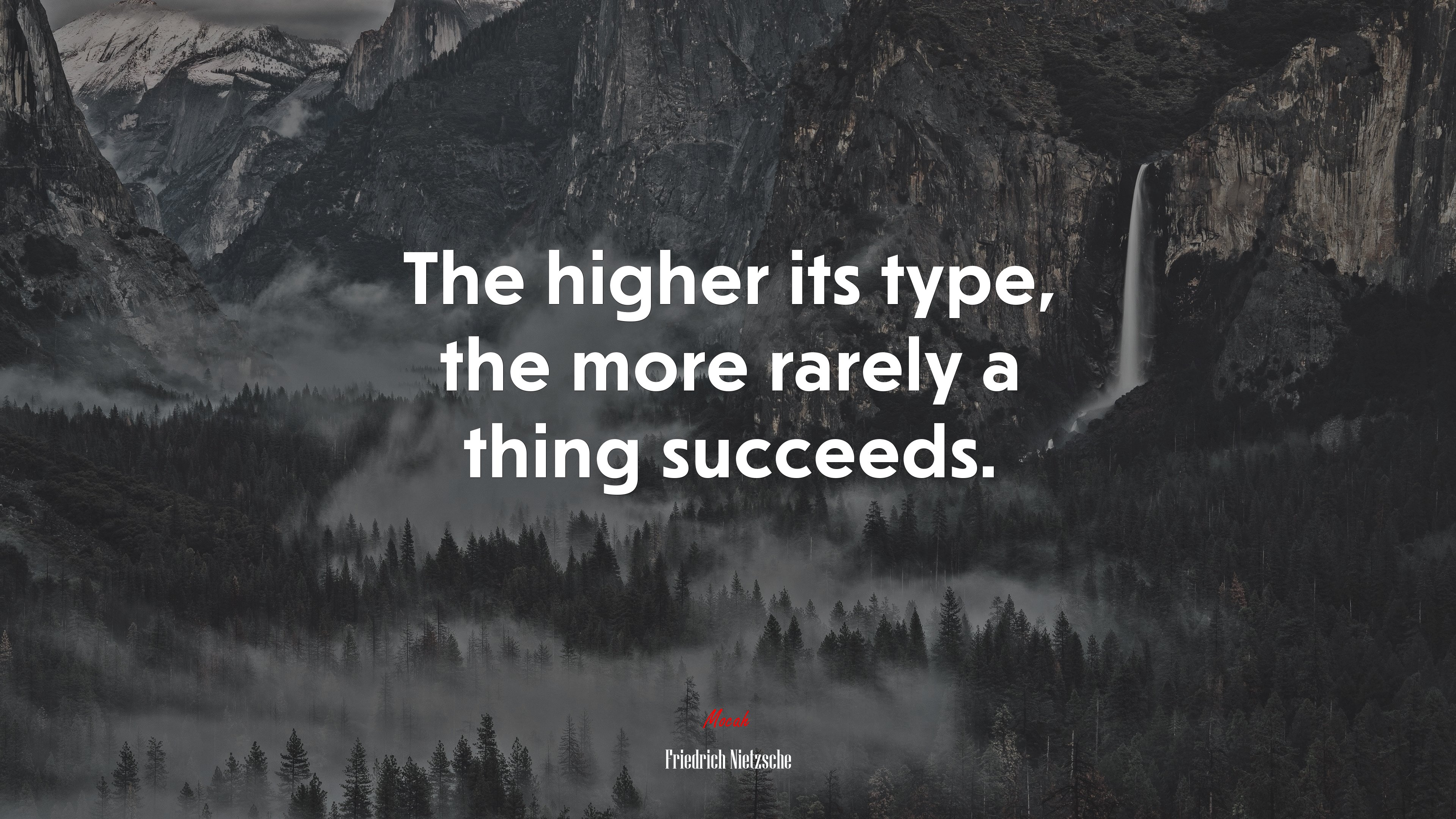 The higher its type, the more rarely a thing succeeds. | Friedrich Nietzsche quote HD Wallpaper