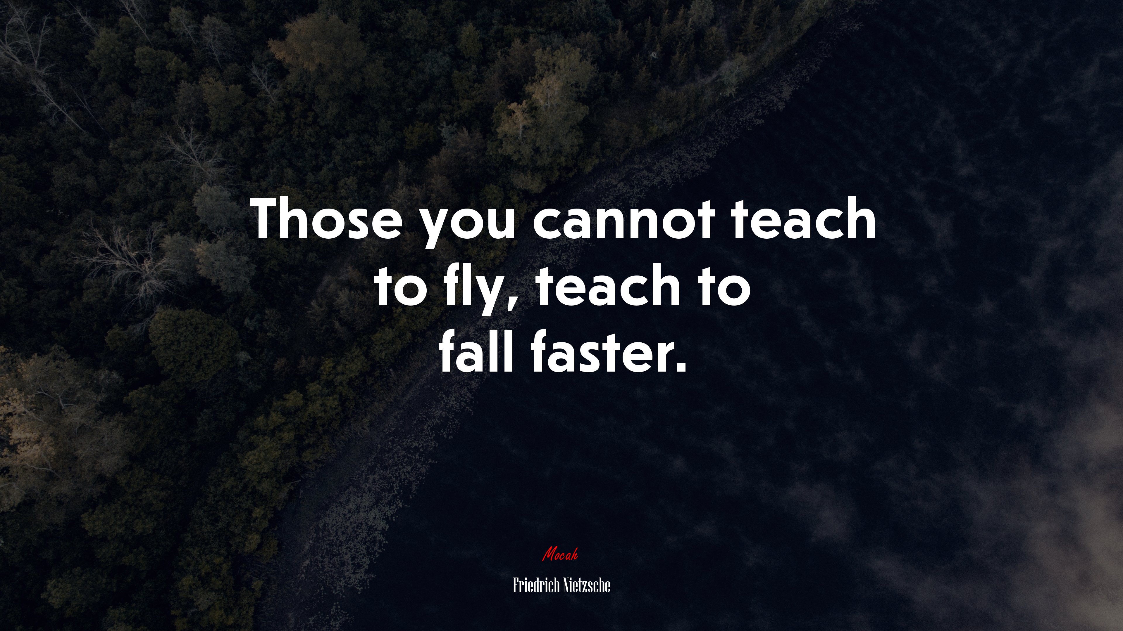Those you cannot teach to fly, teach to fall faster. | Friedrich Nietzsche quote HD Wallpaper