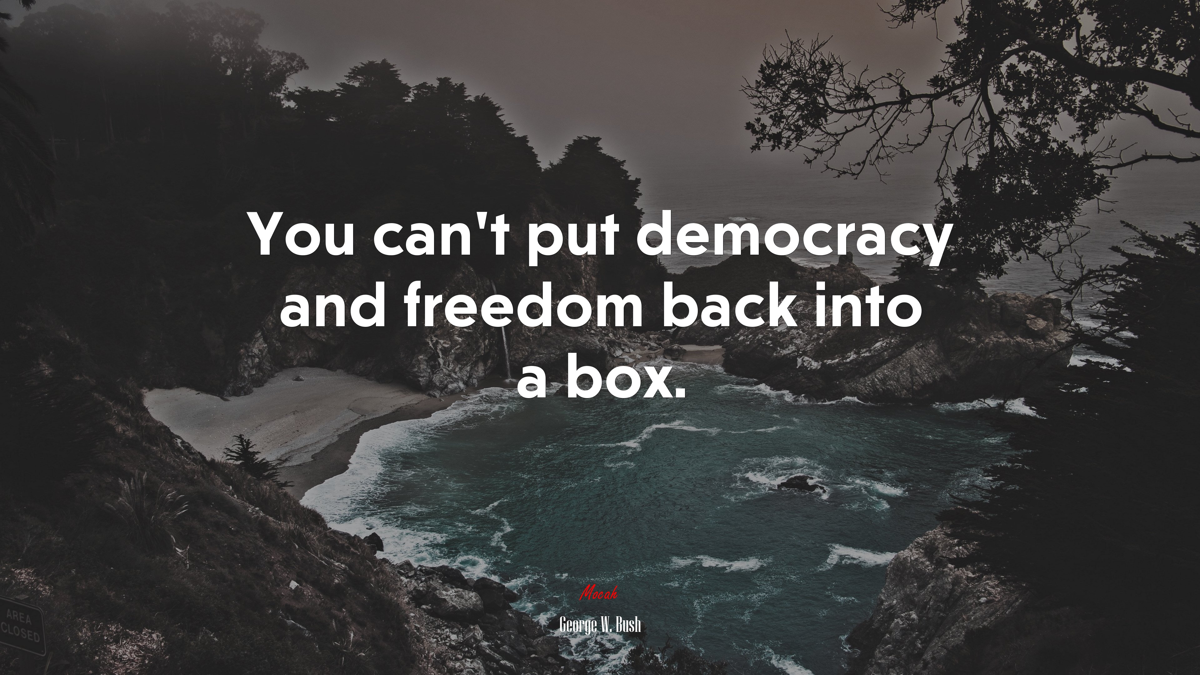 You can’t put democracy and freedom back into a box. | George W. Bush quote HD Wallpaper