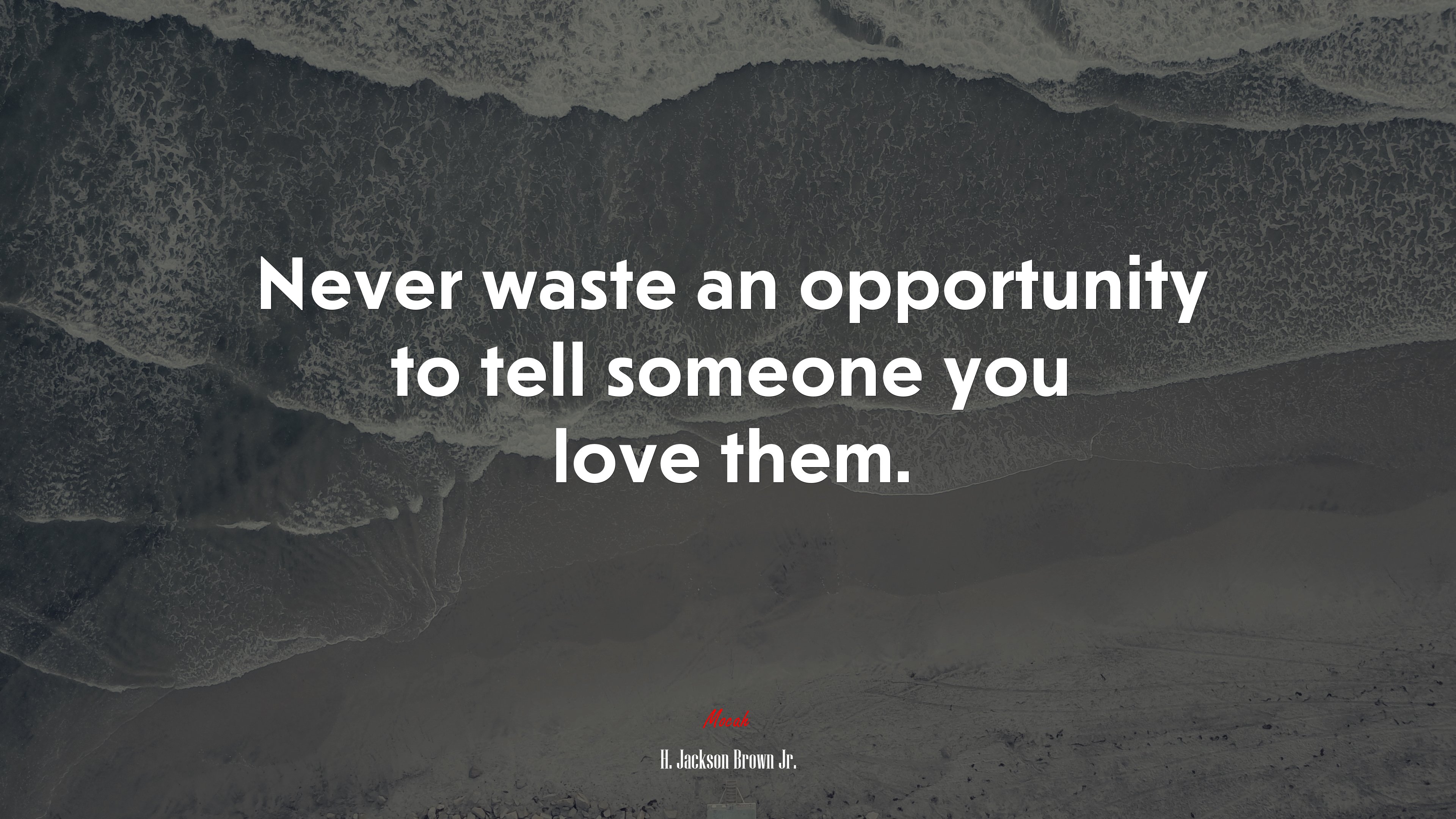 Never waste an opportunity to tell someone you love them. | H. Jackson Brown Jr. quote HD Wallpaper