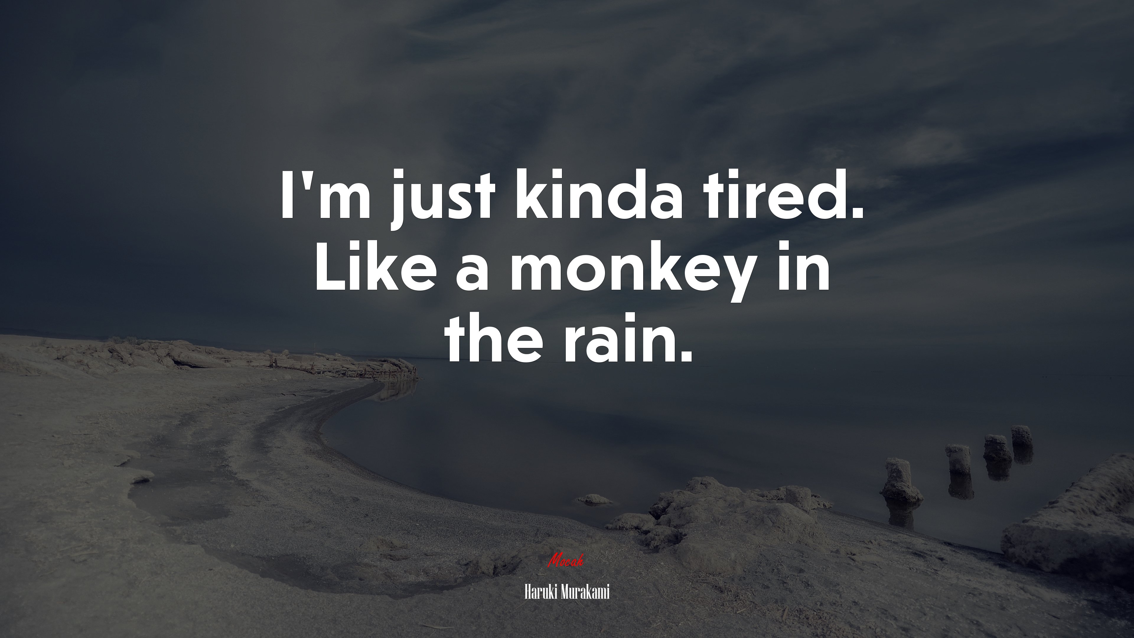 I’m just kinda tired. Like a monkey in the rain. | Haruki Murakami quote HD Wallpaper