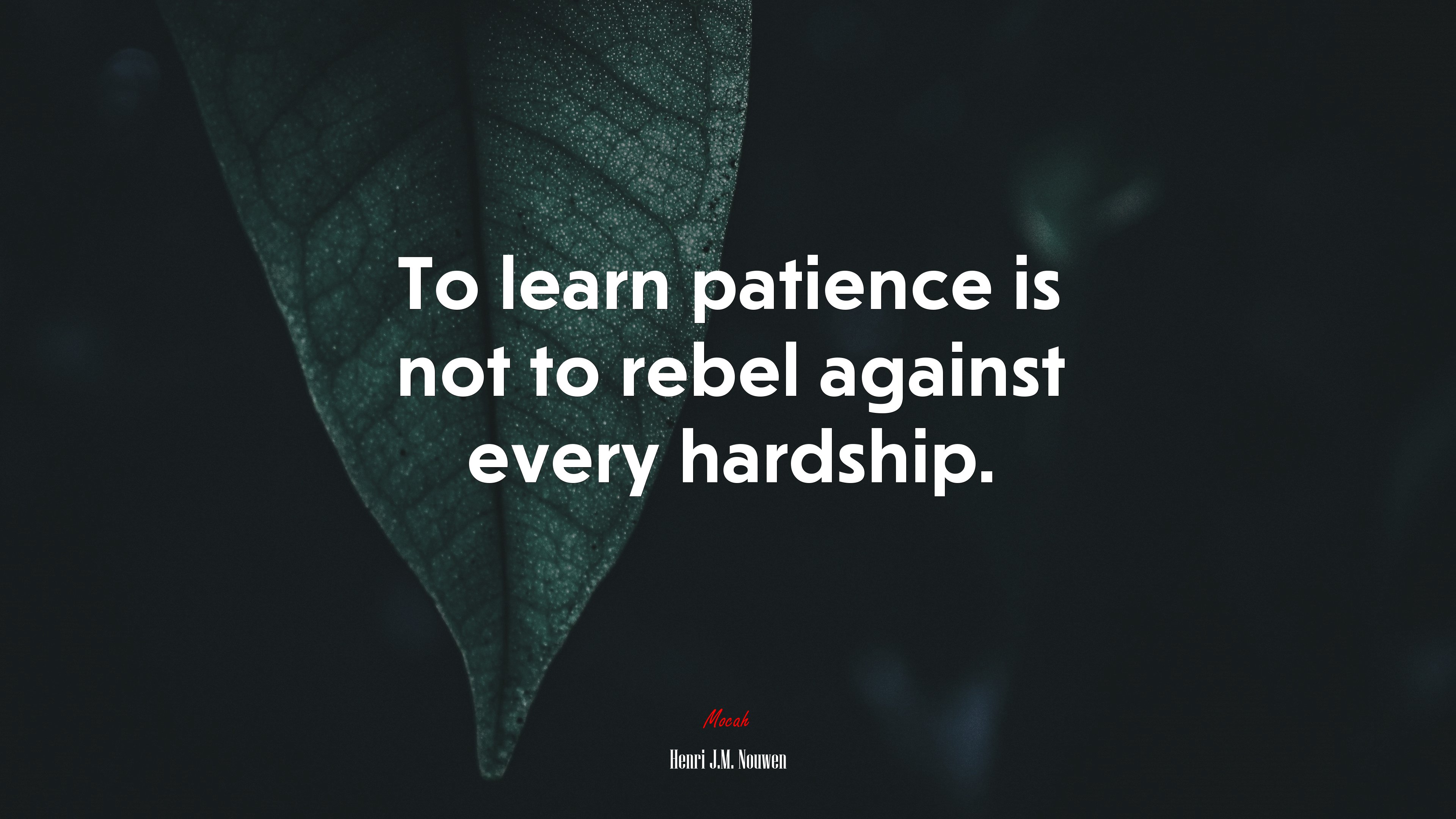 To learn patience is not to rebel against every hardship. | Henri J.M. Nouwen quote HD Wallpaper