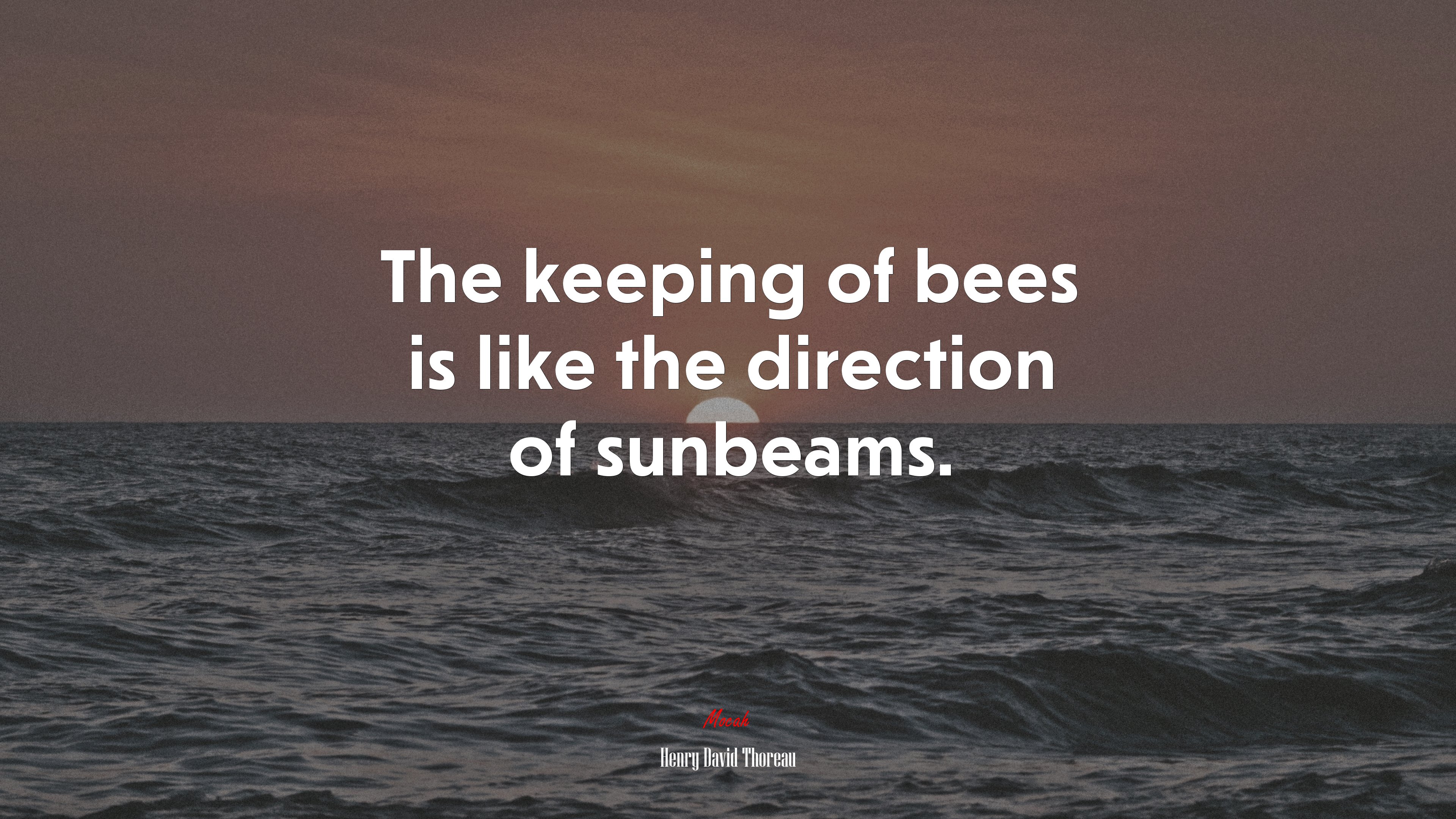 The keeping of bees is like the direction of sunbeams. | Henry David Thoreau quote HD Wallpaper