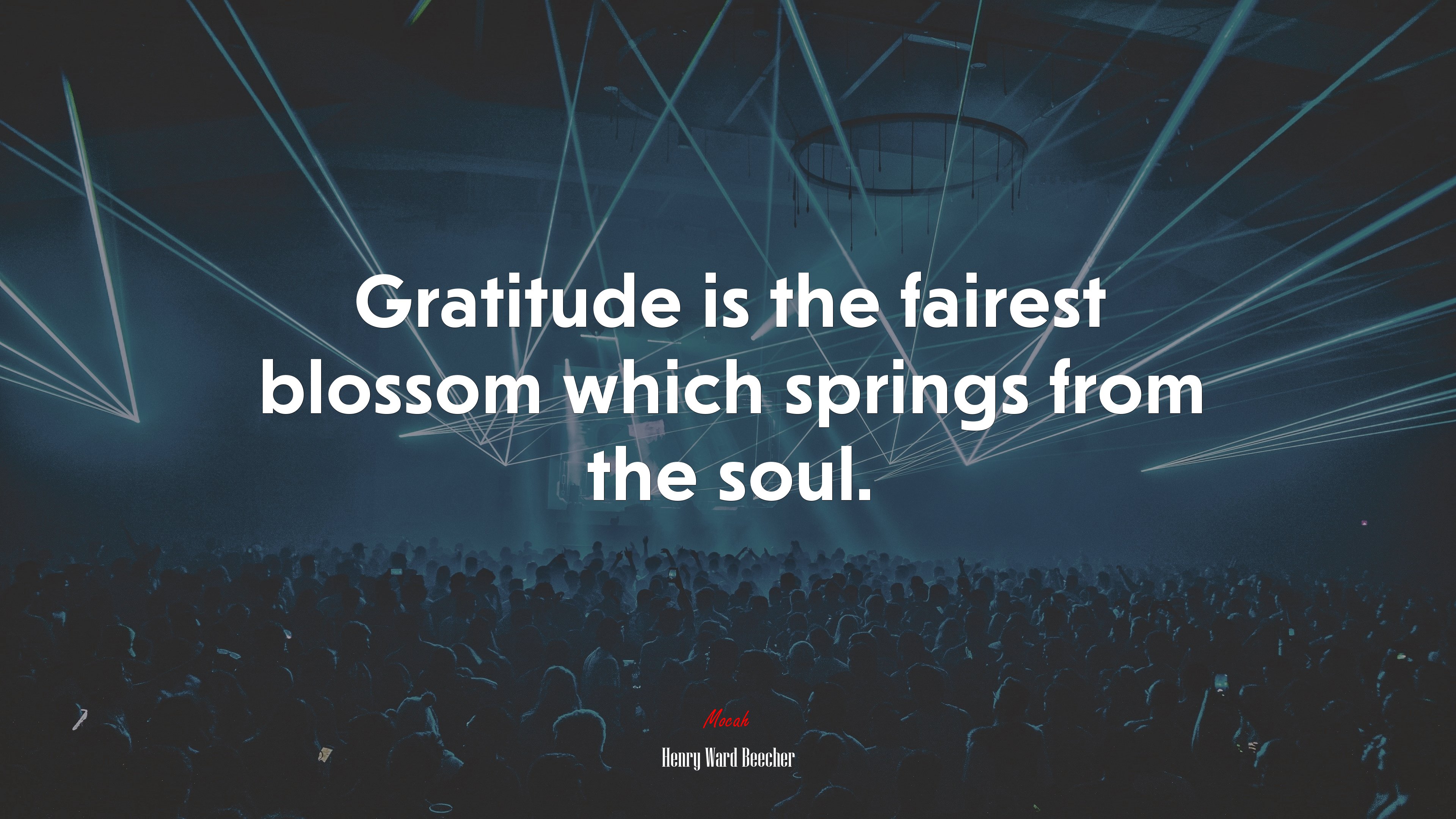 Gratitude is the fairest blossom which springs from the soul. | Henry Ward Beecher quote HD Wallpaper