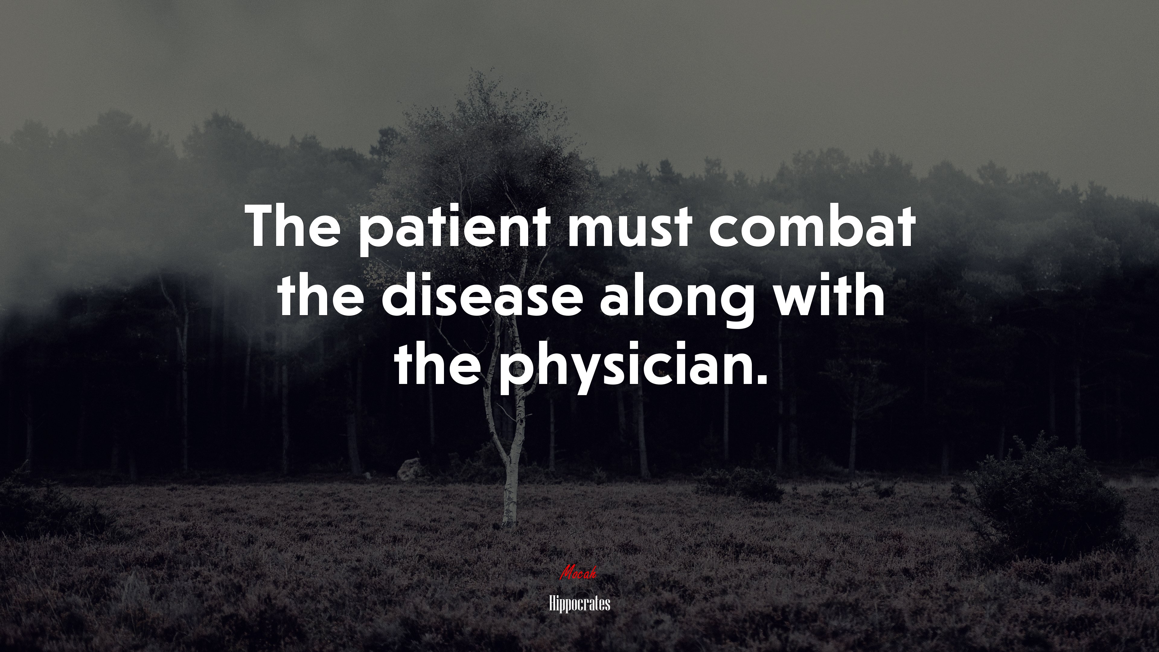 The patient must combat the disease along with the physician. | Hippocrates quote HD Wallpaper