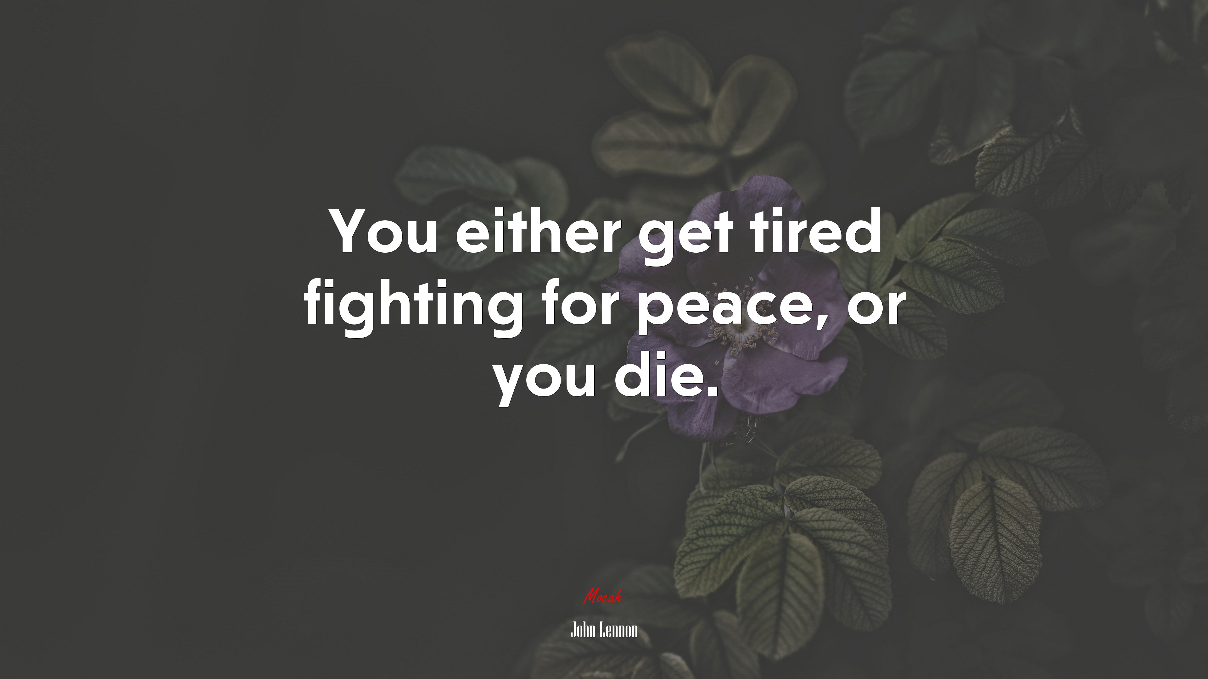 You either get tired fighting for peace, or you die. | John Lennon quote HD Wallpaper