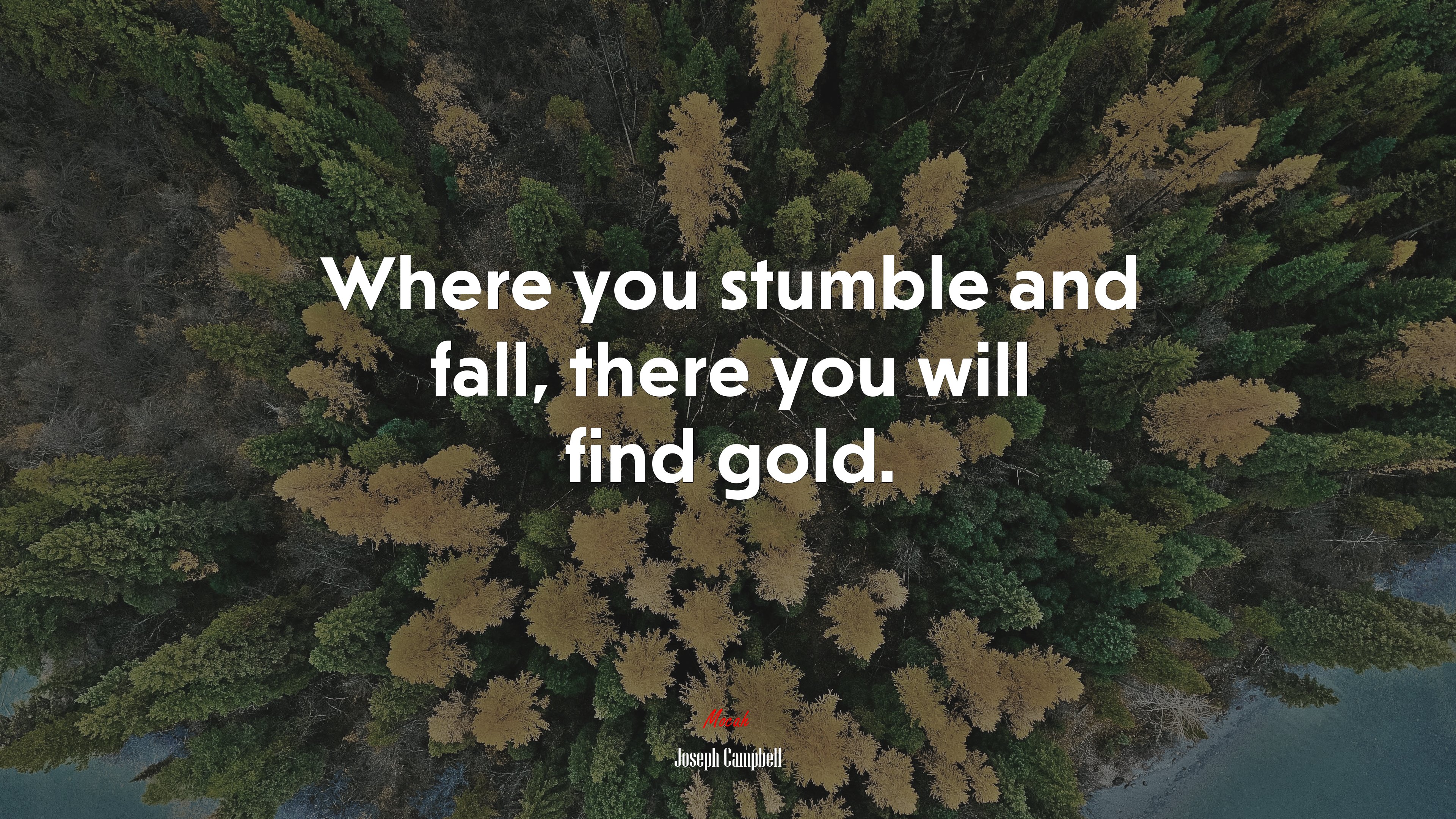 Where you stumble and fall, there you will find gold. | Joseph Campbell quote HD Wallpaper