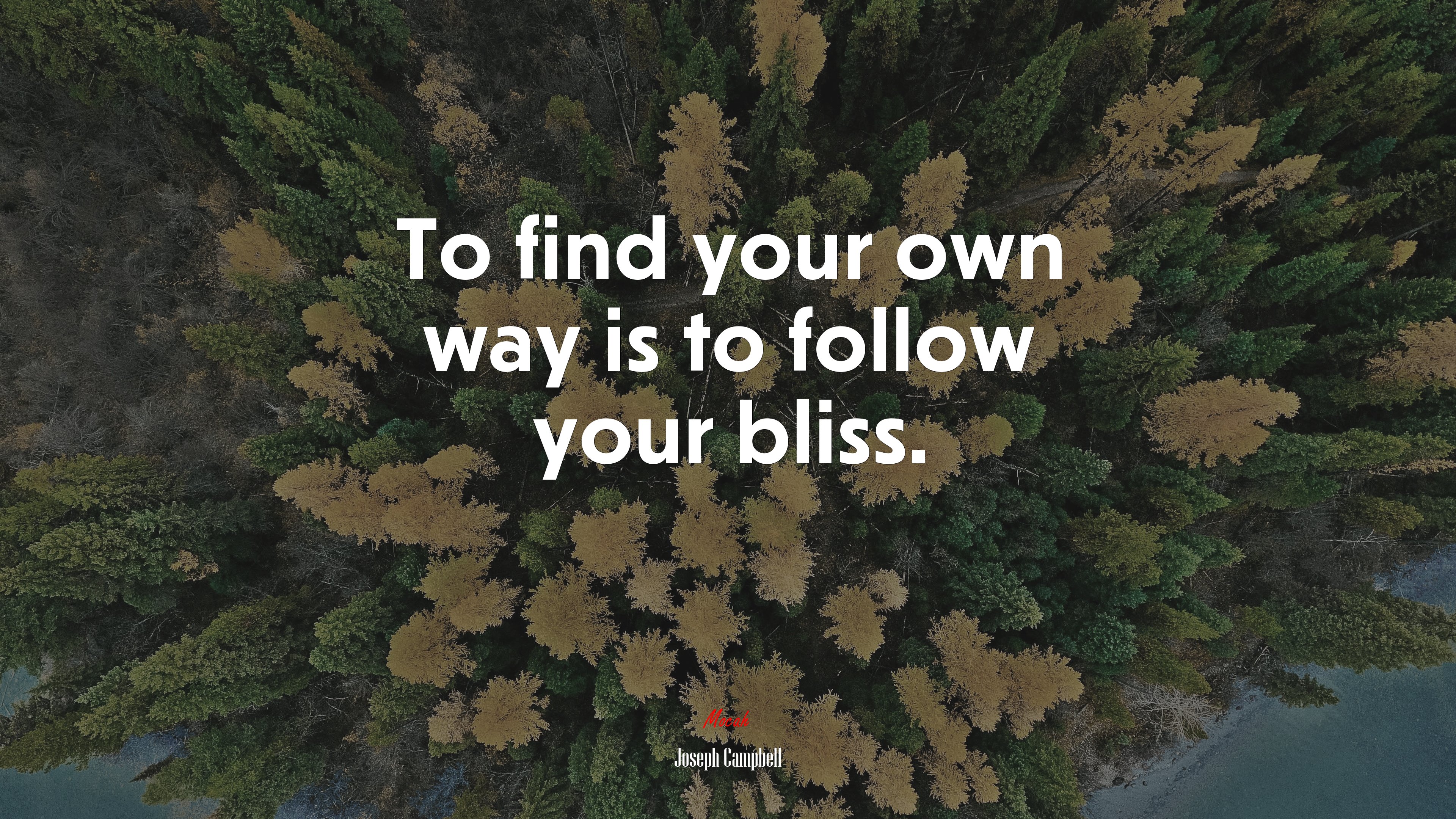 To find your own way is to follow your bliss. | Joseph Campbell quote HD Wallpaper
