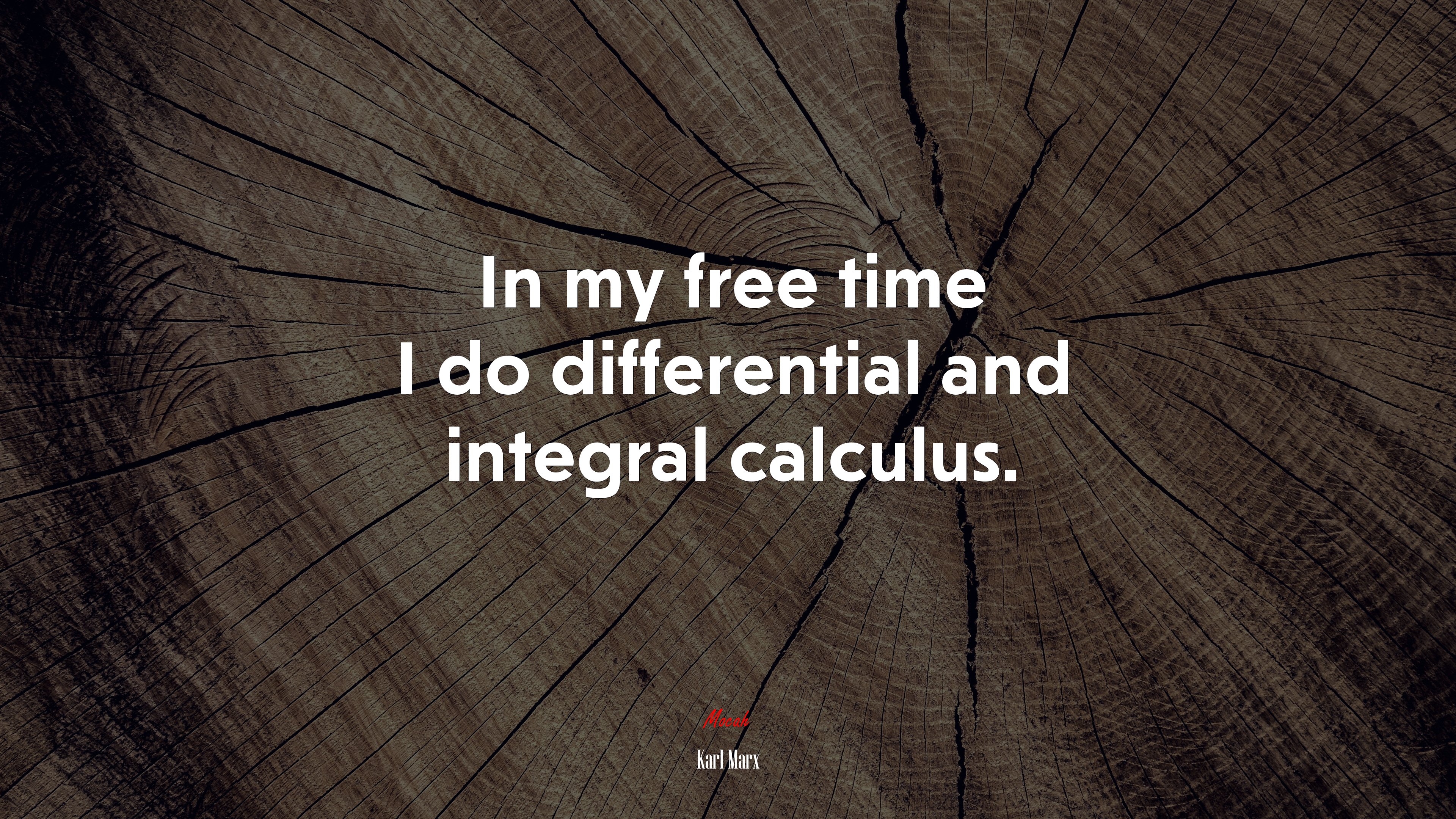 In my free time I do differential and integral calculus. | Karl Marx quote HD Wallpaper