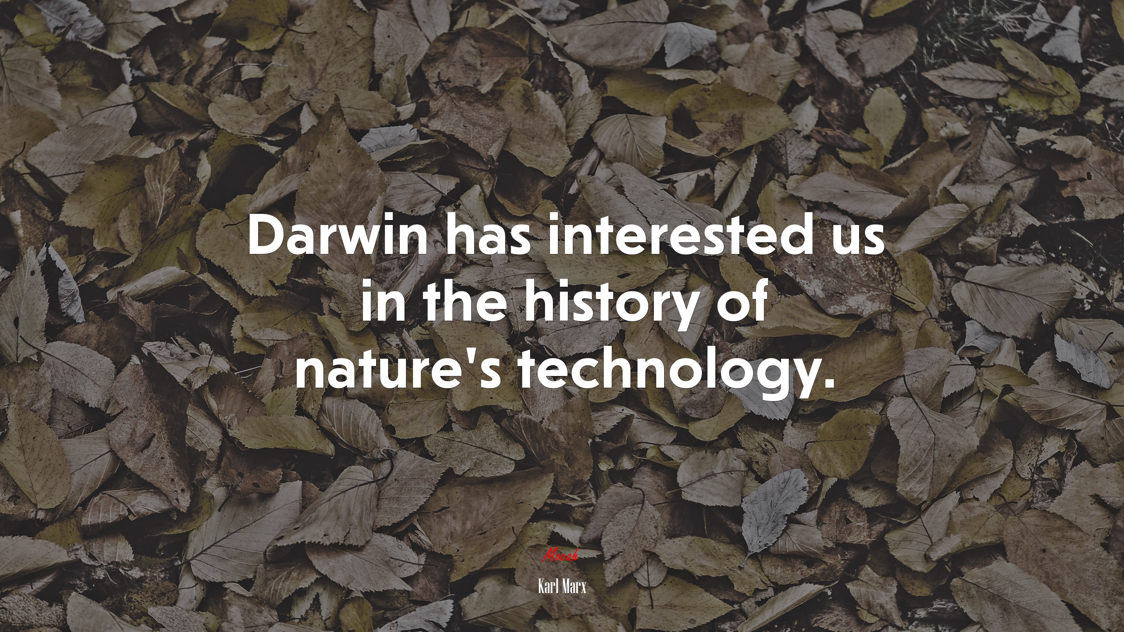 Darwin has interested us in the history of nature’s technology. | Karl Marx quote HD Wallpaper