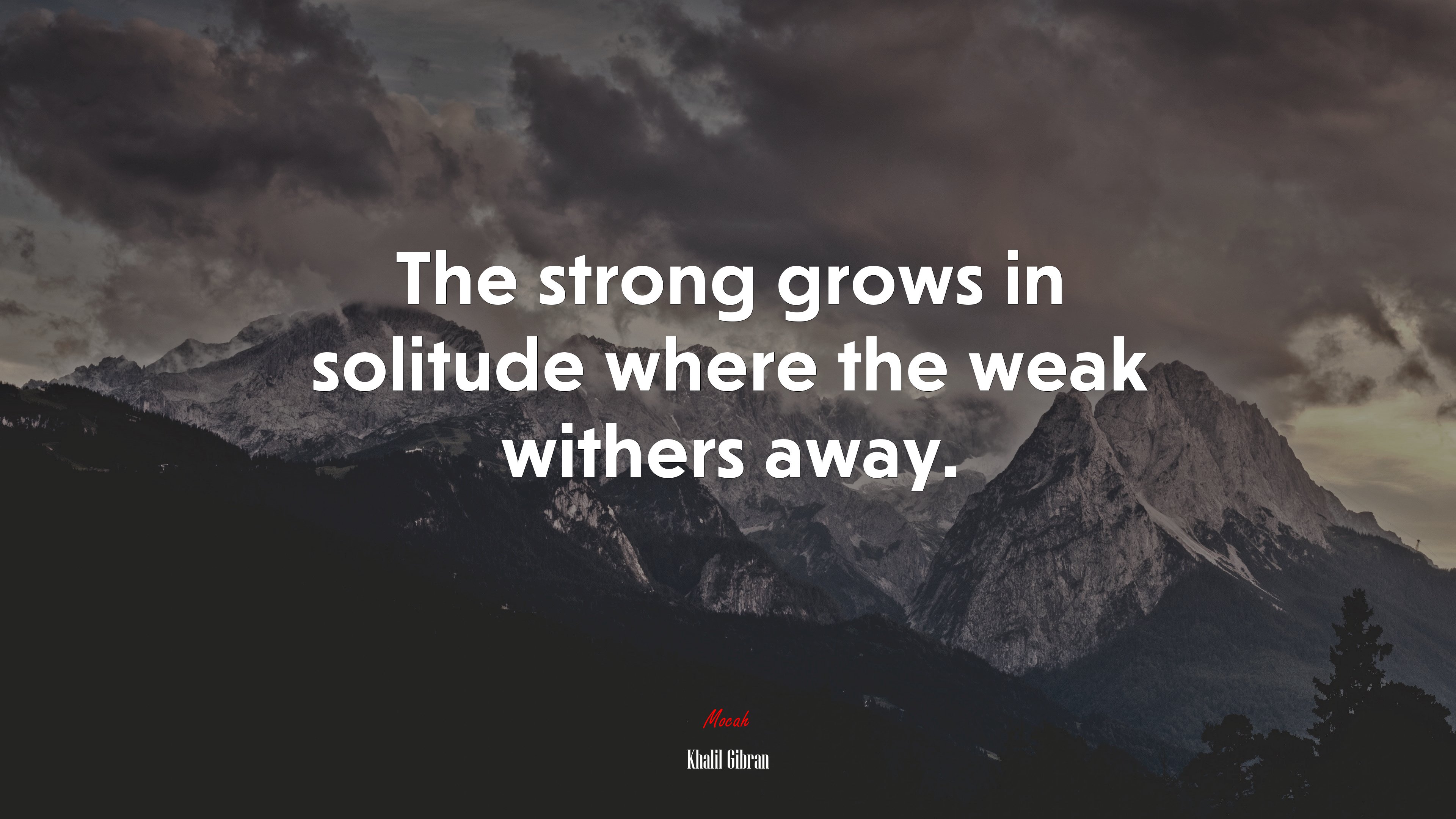 The strong grows in solitude where the weak withers away. | Khalil Gibran quote HD Wallpaper
