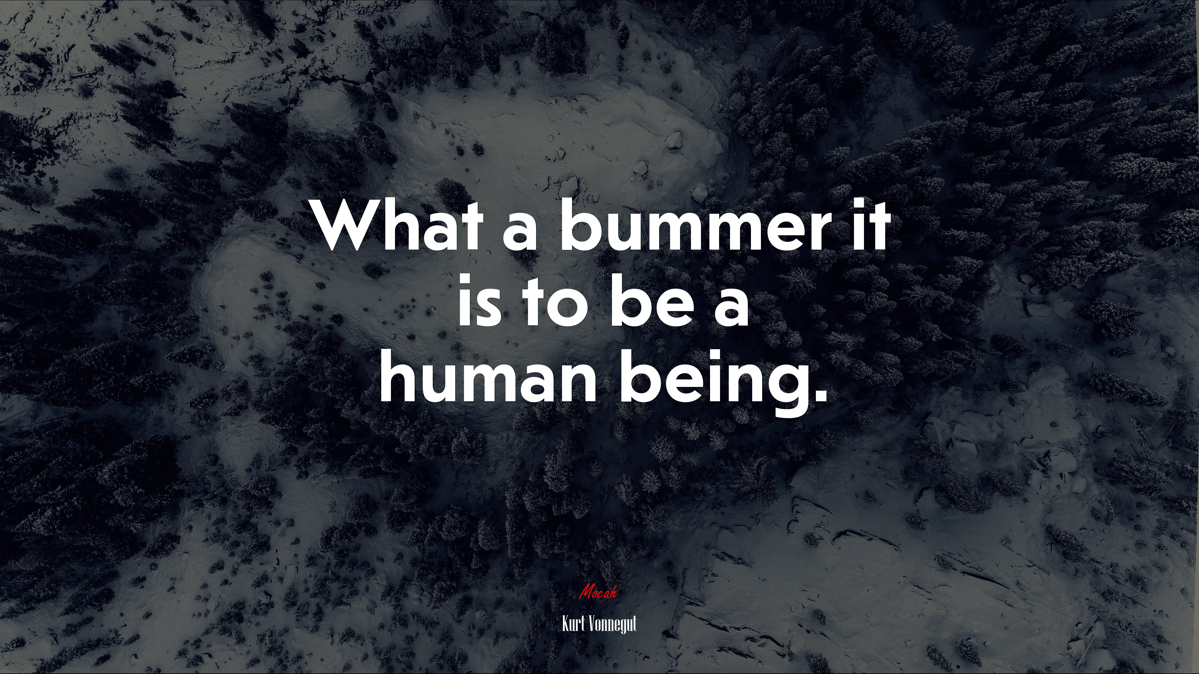 What a bummer it is to be a human being. | Kurt Vonnegut quote HD Wallpaper