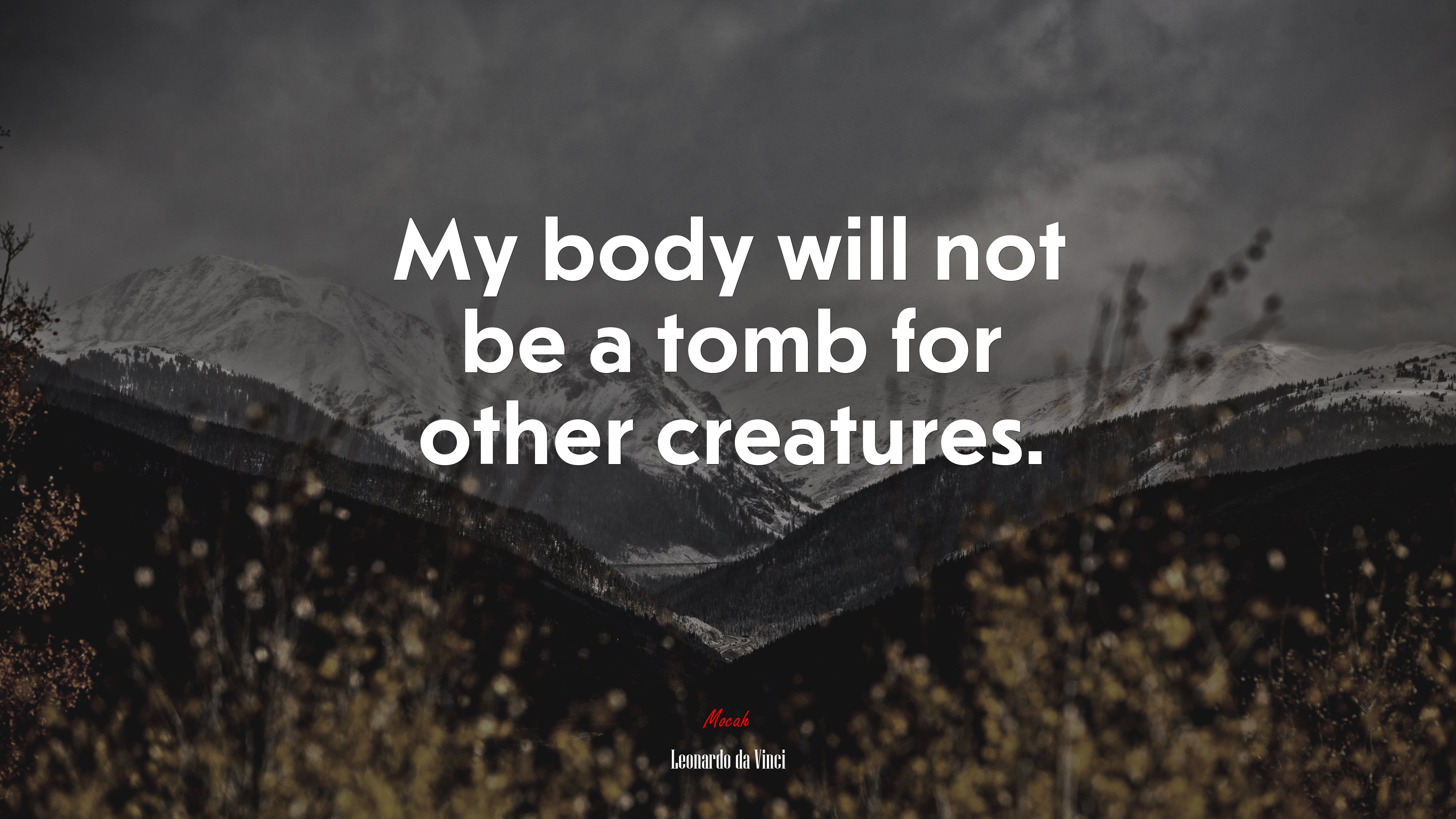 My body will not be a tomb for other creatures. | Leonardo da Vinci quote HD Wallpaper