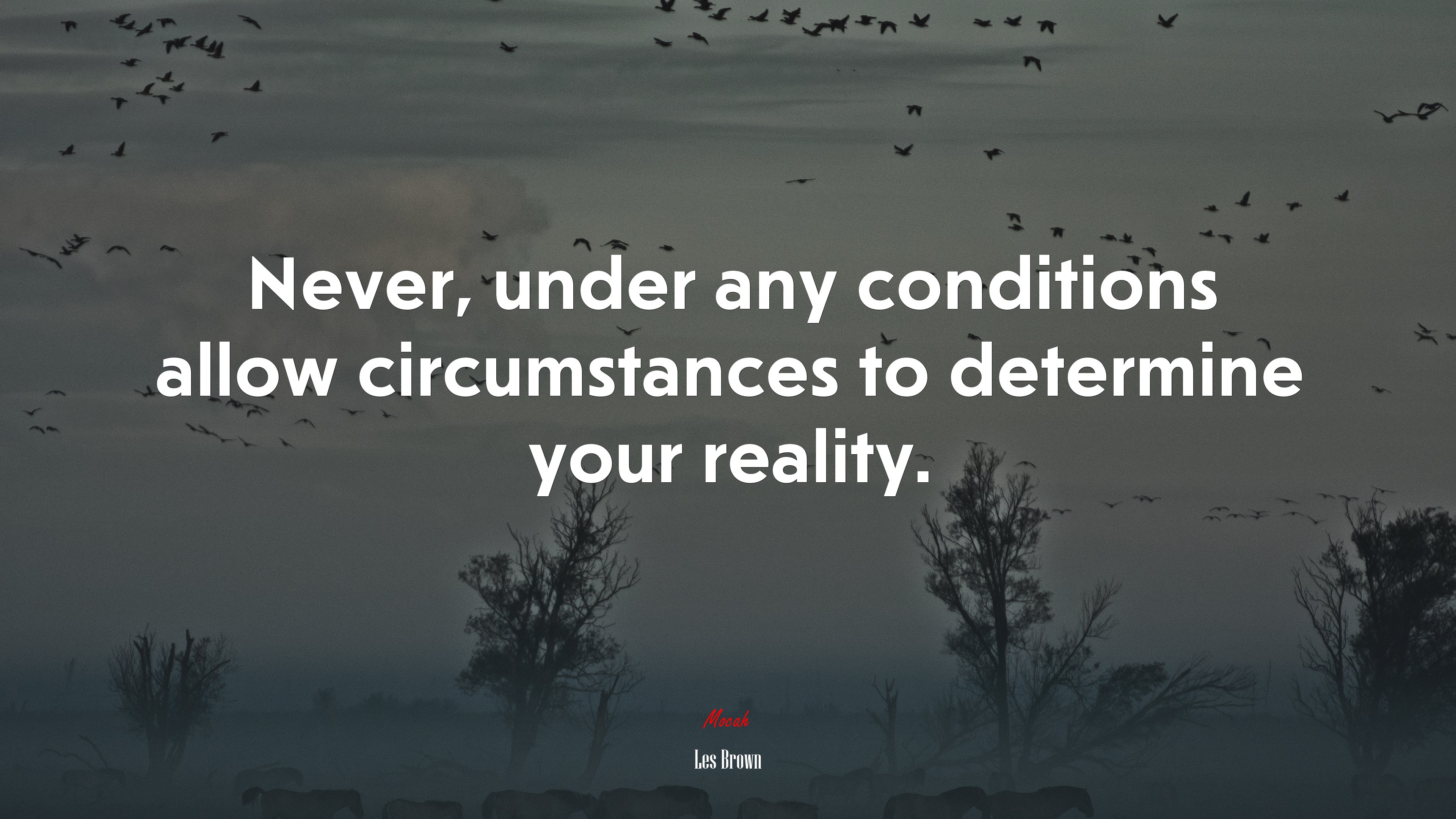 Never, under any conditions allow circumstances to determine your reality. | Les Brown quote HD Wallpaper