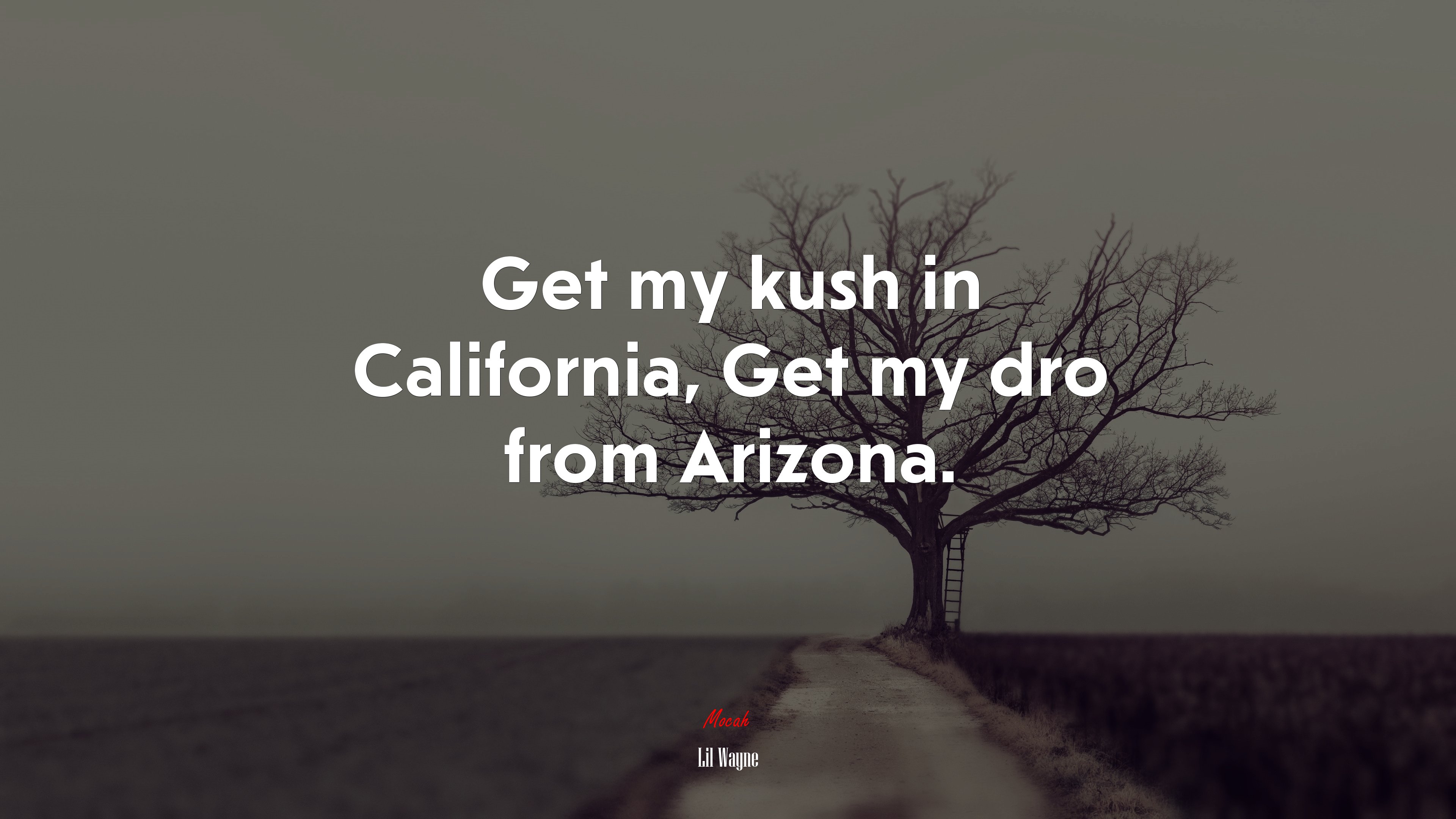 Get my kush in California, Get my dro from Arizona. | Lil Wayne quote HD Wallpaper