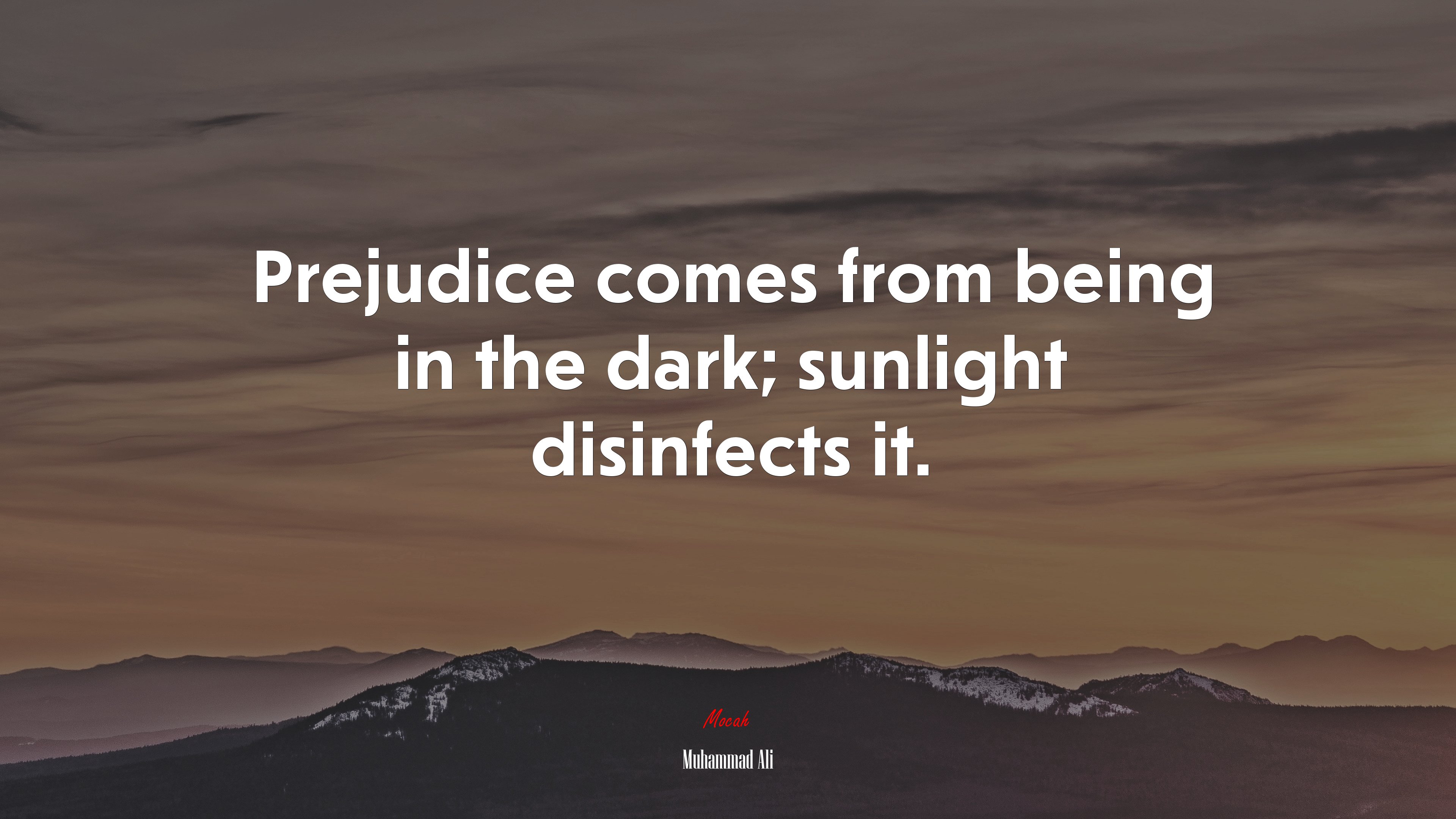 Prejudice comes from being in the dark; sunlight disinfects it. | Muhammad Ali quote HD Wallpaper
