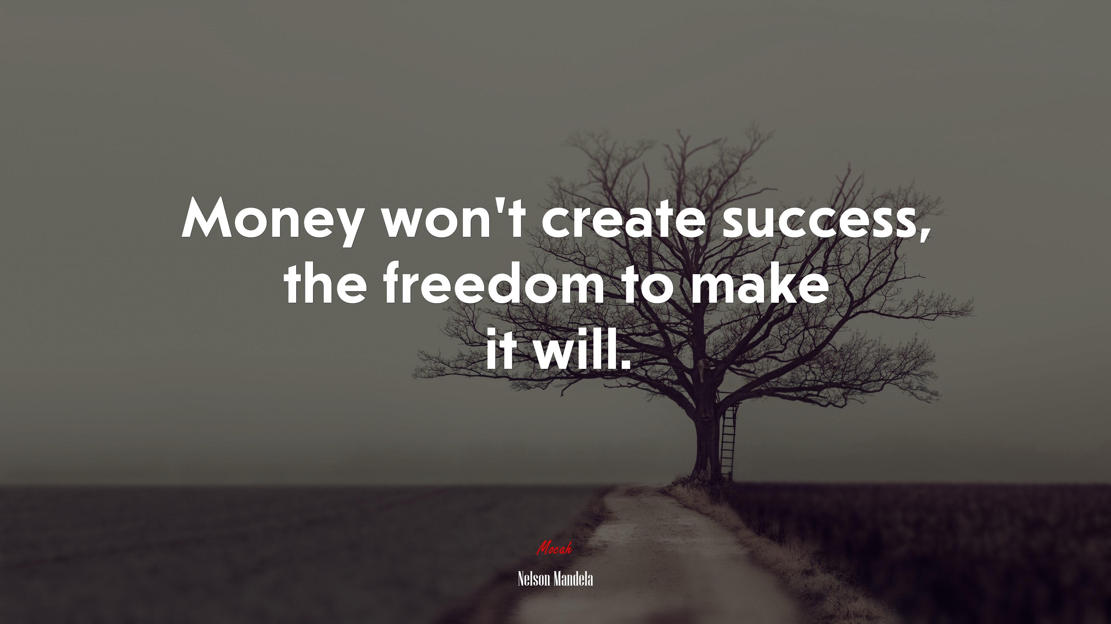 Money won’t create success, the freedom to make it will. | Nelson Mandela quote HD Wallpaper