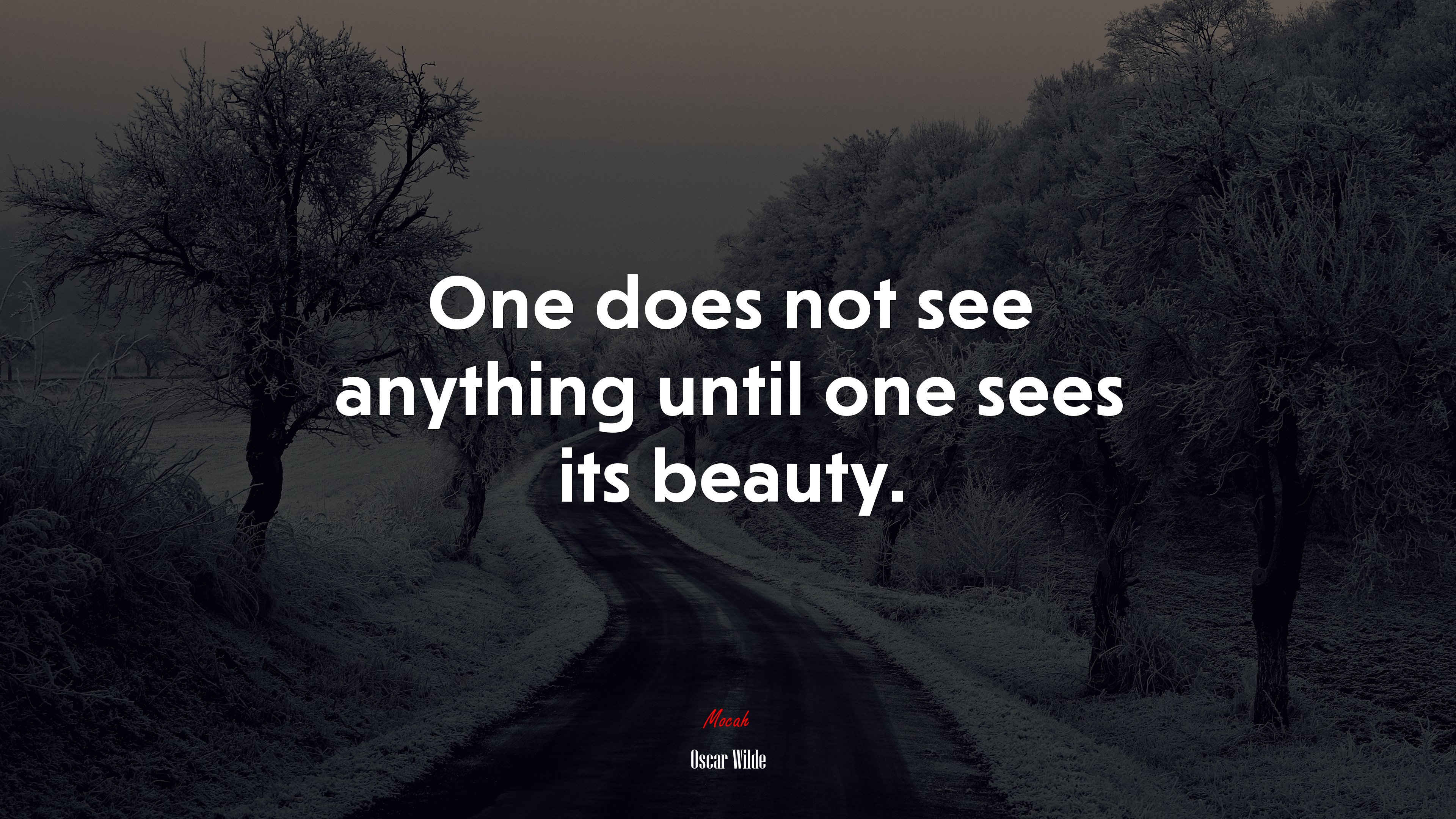 One does not see anything until one sees its beauty. | Oscar Wilde quote HD Wallpaper