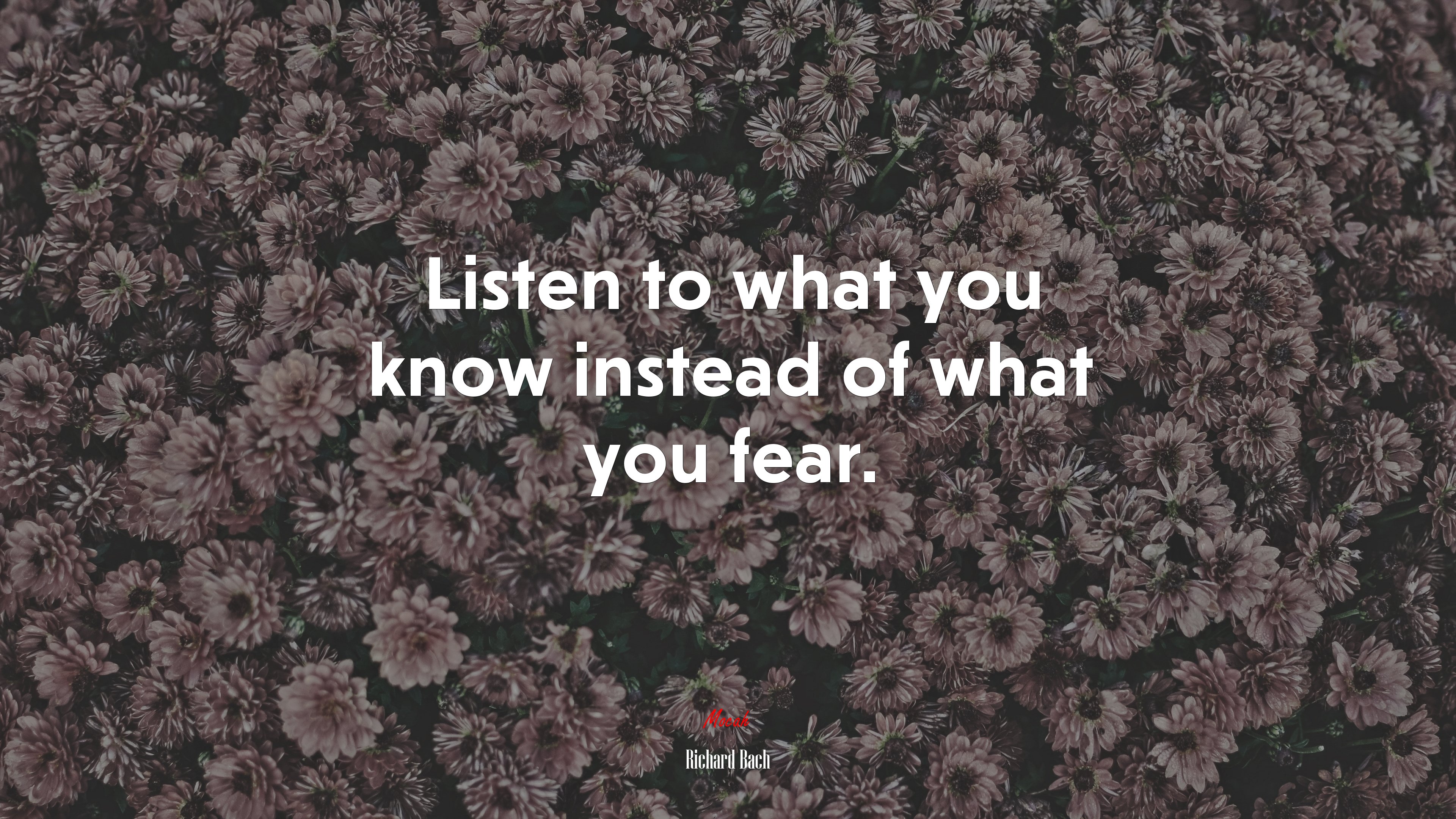 Listen to what you know instead of what you fear. | Richard Bach quote HD Wallpaper