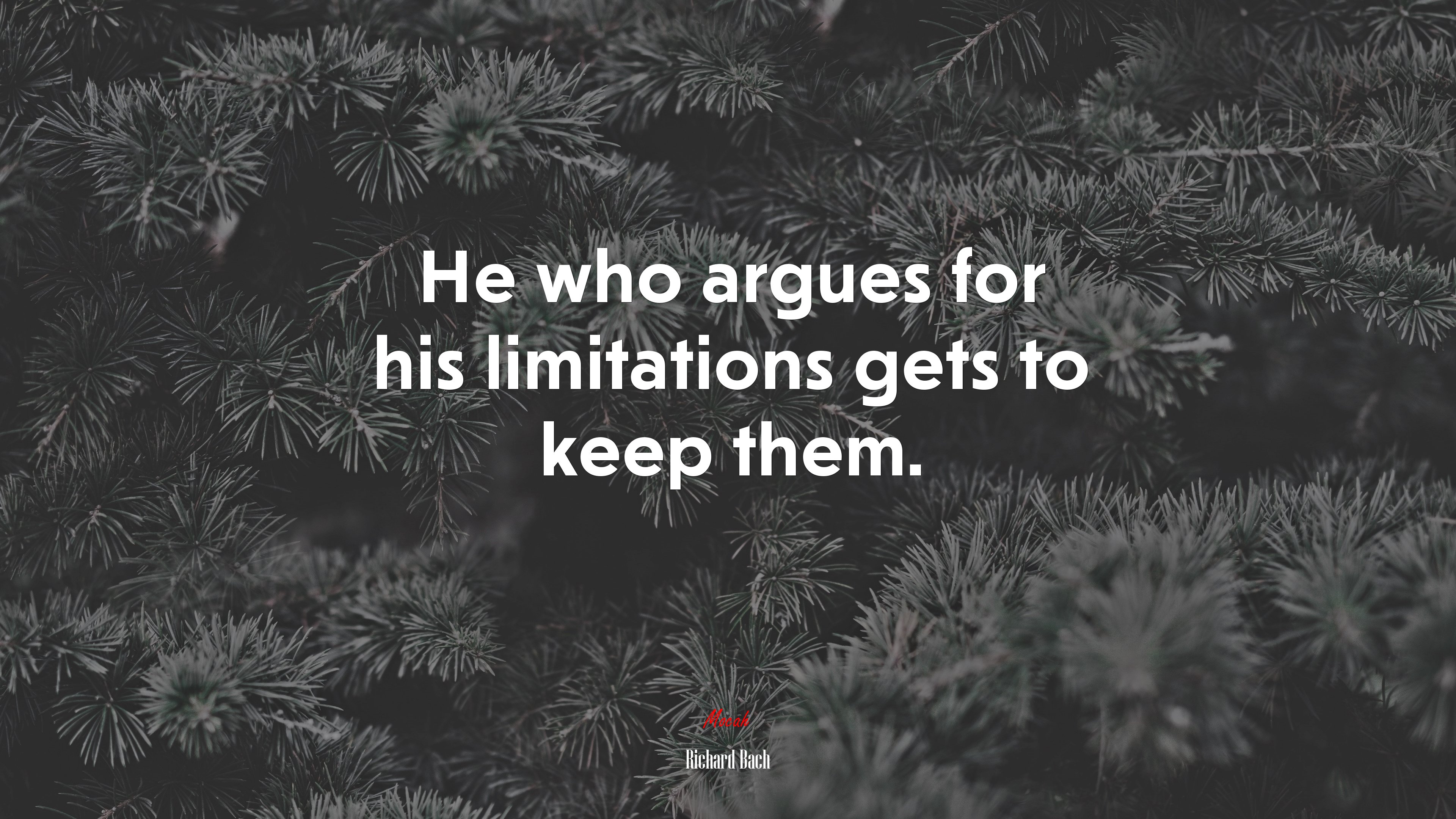 He who argues for his limitations gets to keep them. | Richard Bach quote HD Wallpaper