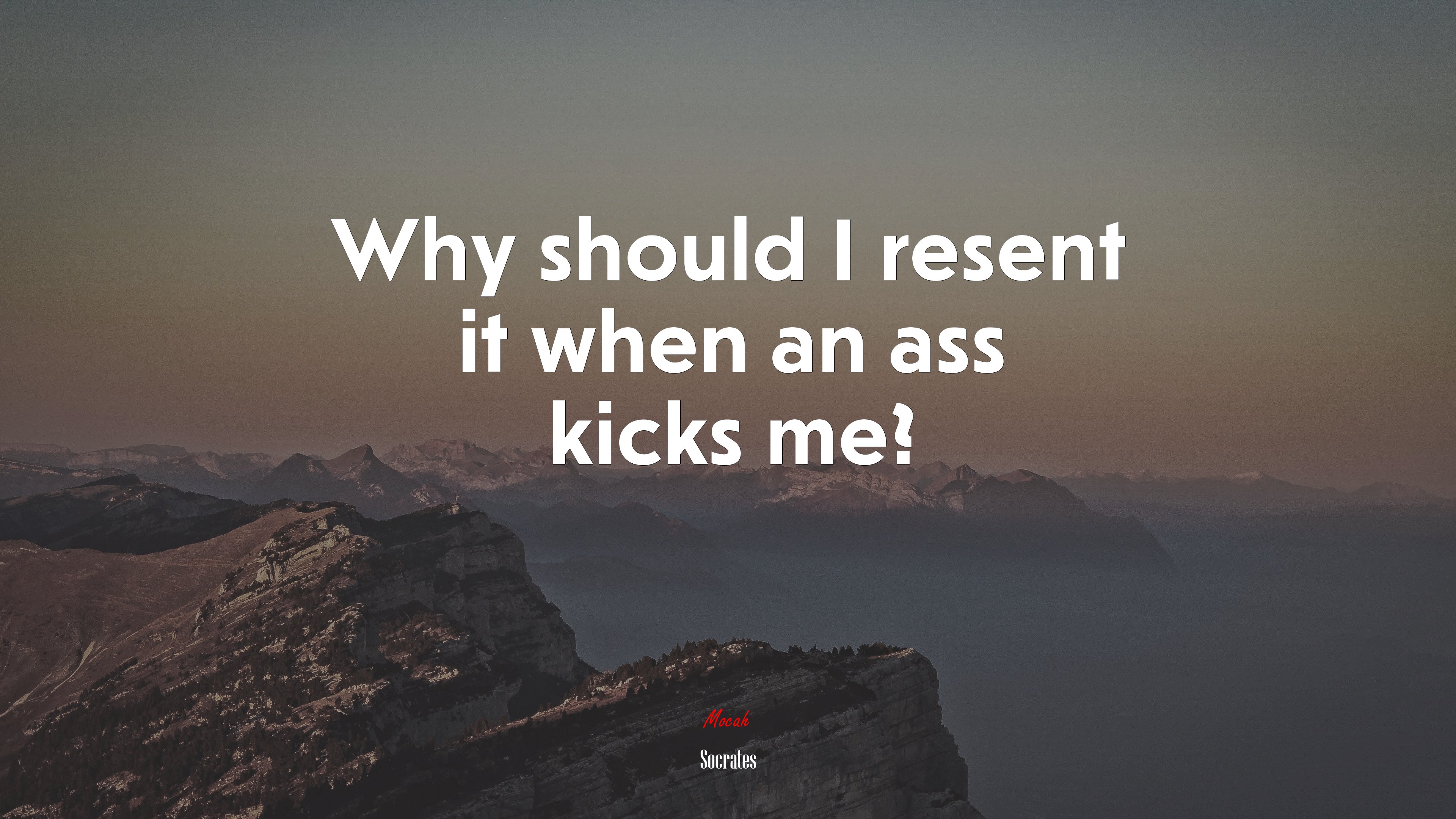 Why should I resent it when an ass kicks me? | Socrates quote HD Wallpaper