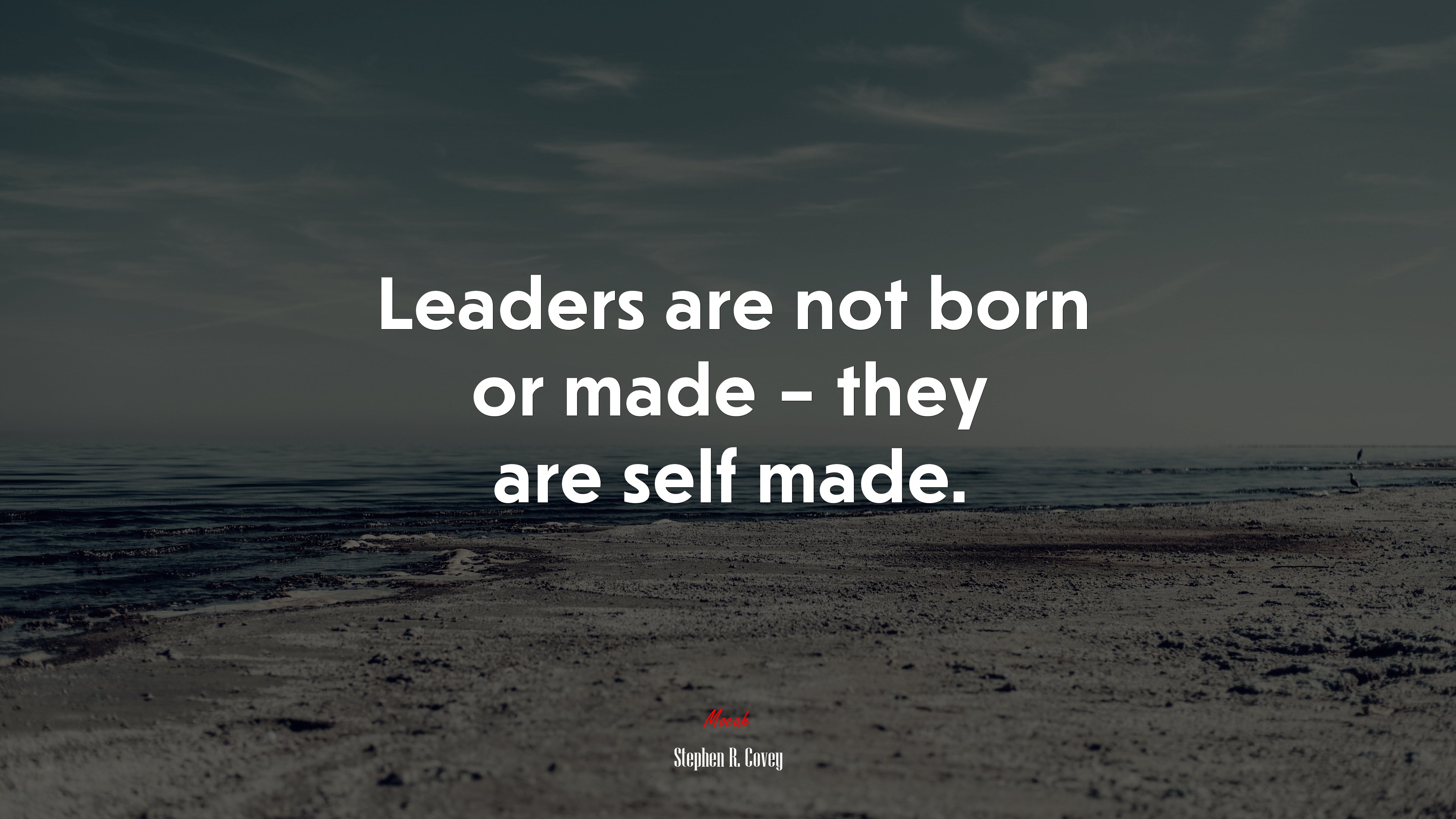Leaders are not born or made – they are self made. | Stephen R. Covey quote HD Wallpaper