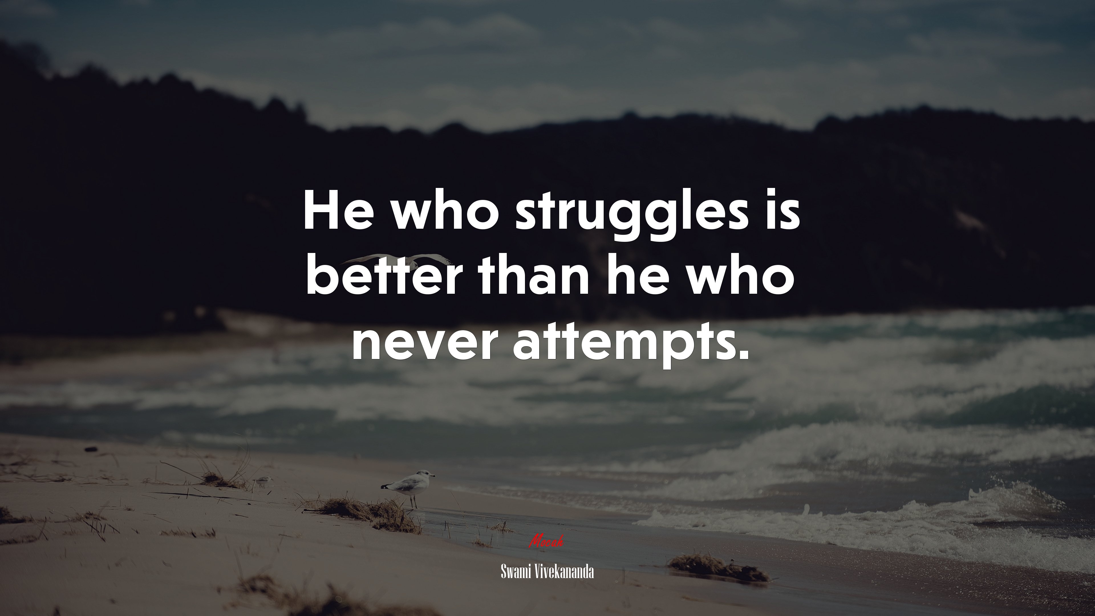 He who struggles is better than he who never attempts. | Swami Vivekananda quote HD Wallpaper