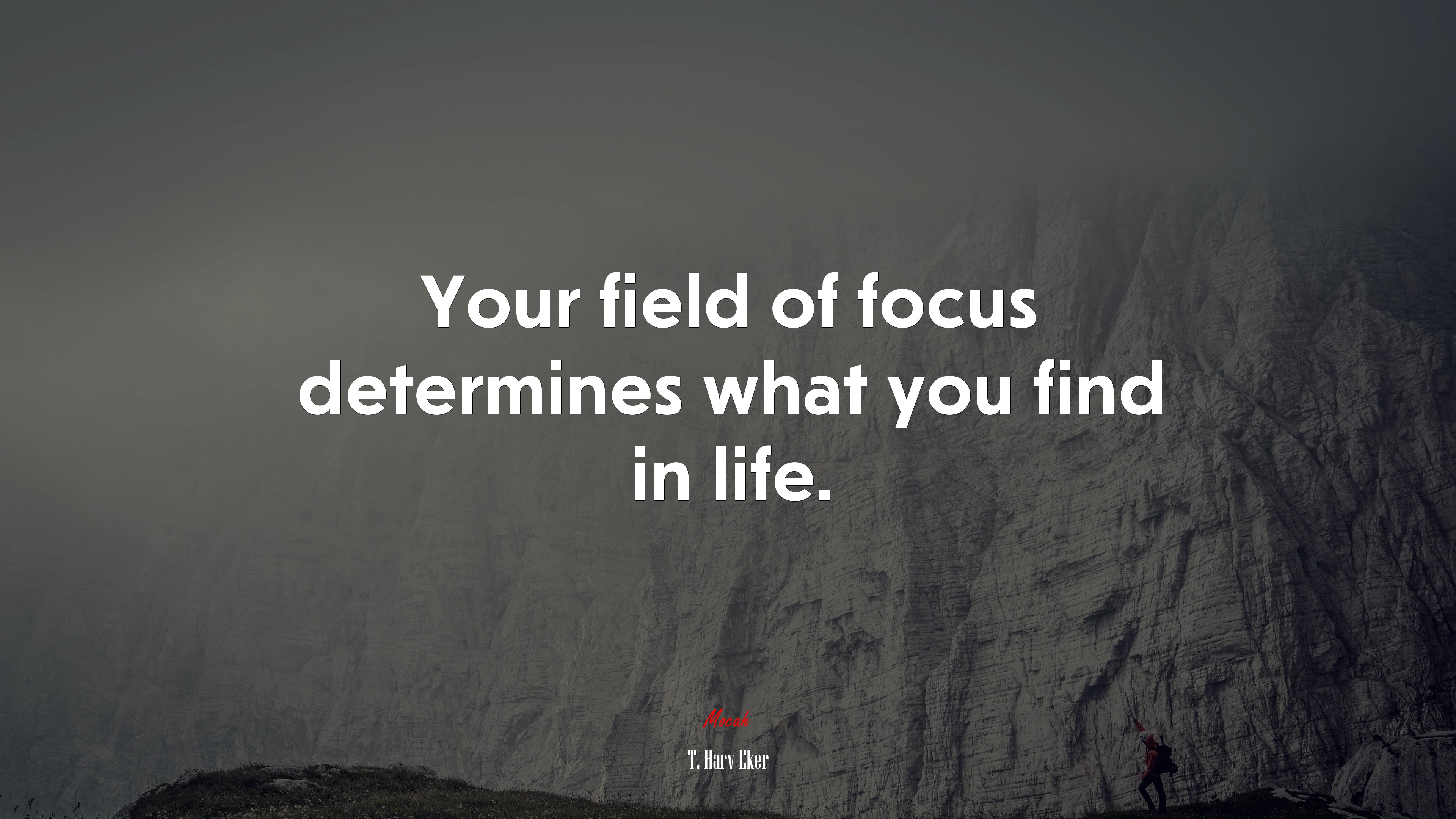 Your field of focus determines what you find in life. | T. Harv Eker quote HD Wallpaper