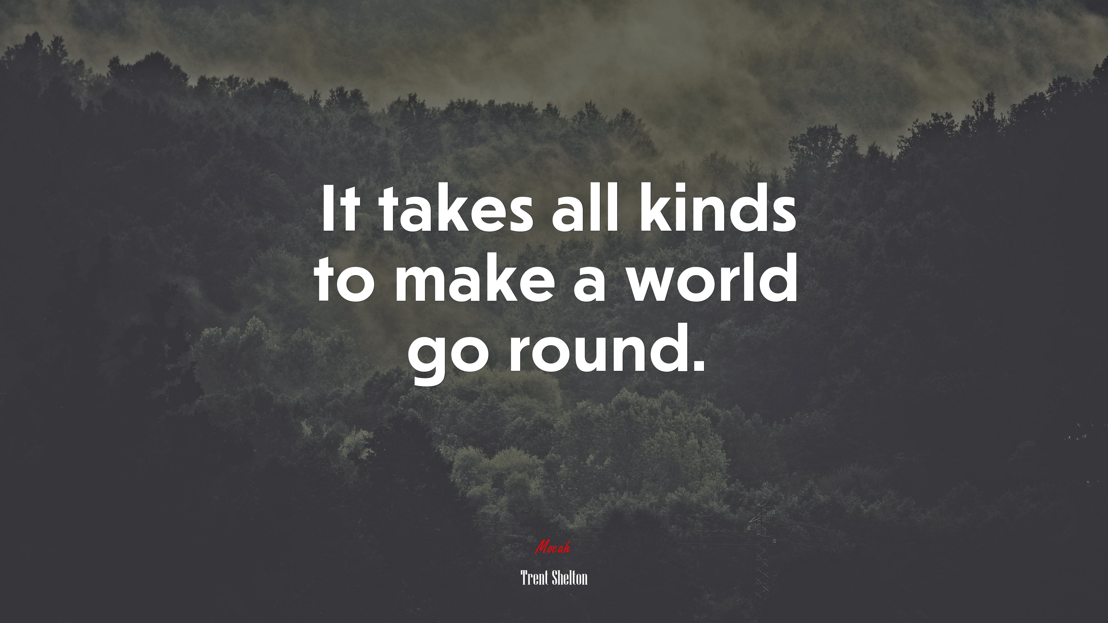It takes all kinds to make a world go round. | Trent Shelton quote HD Wallpaper