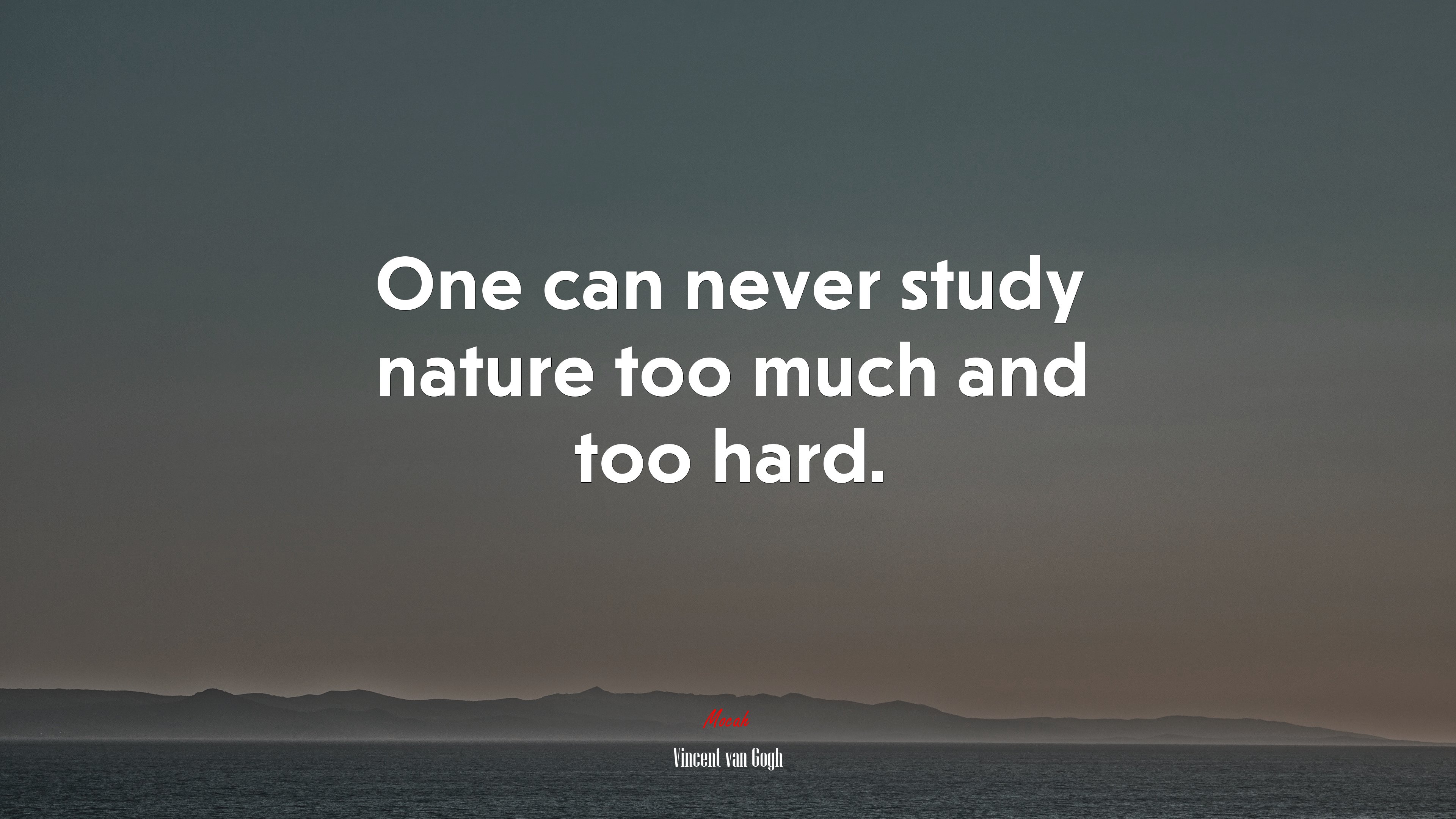 One can never study nature too much and too hard. | Vincent van Gogh quote HD Wallpaper