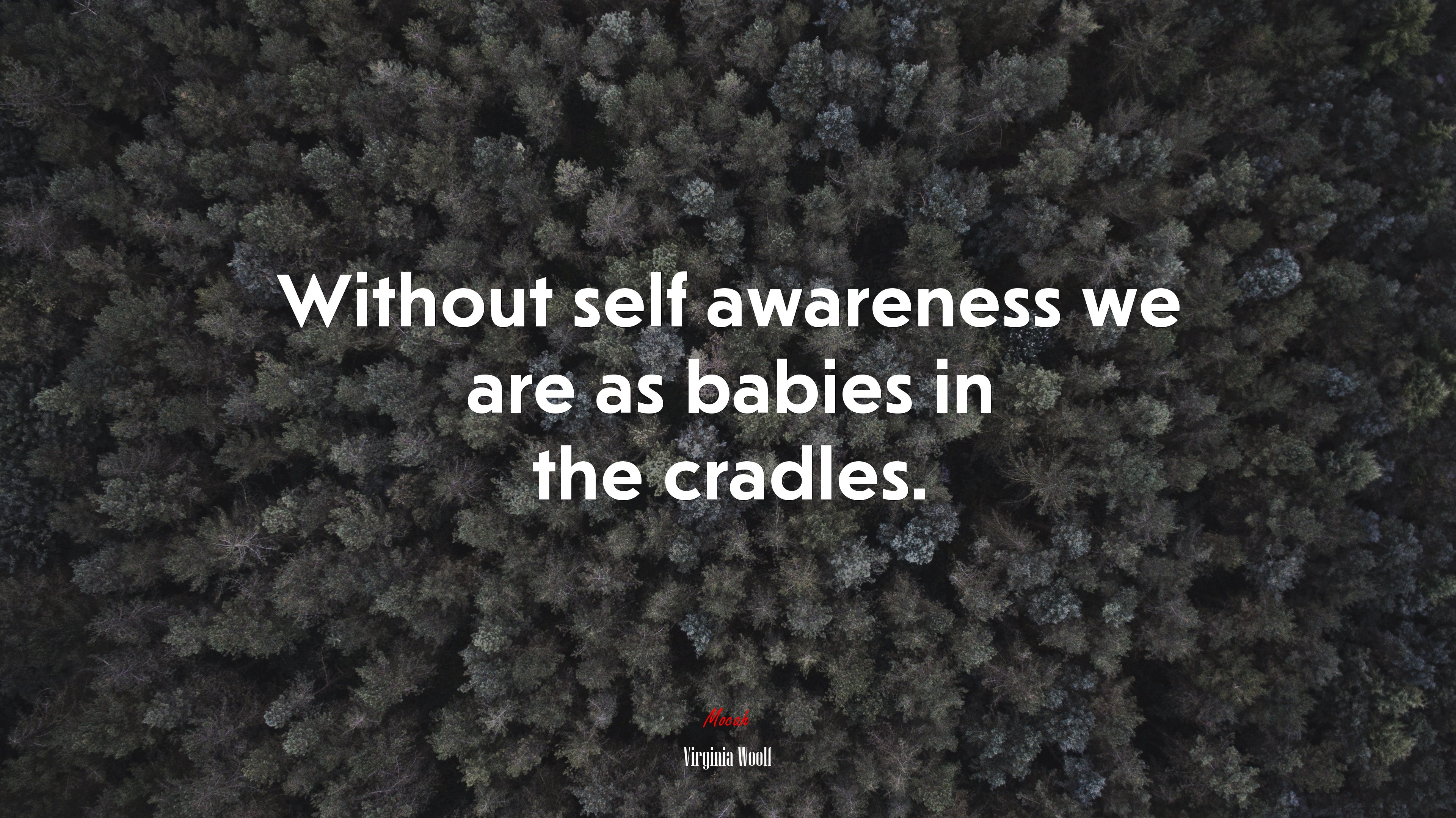 Without self awareness we are as babies in the cradles. | Virginia Woolf quote HD Wallpaper