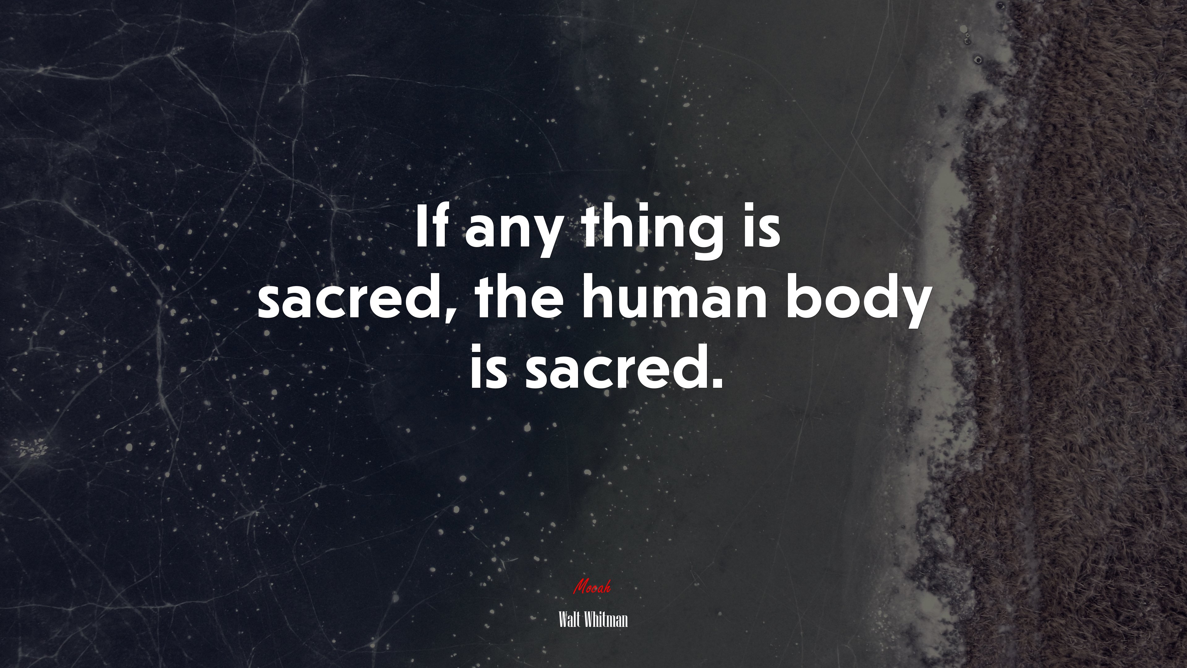 If any thing is sacred, the human body is sacred. | Walt Whitman quote HD Wallpaper