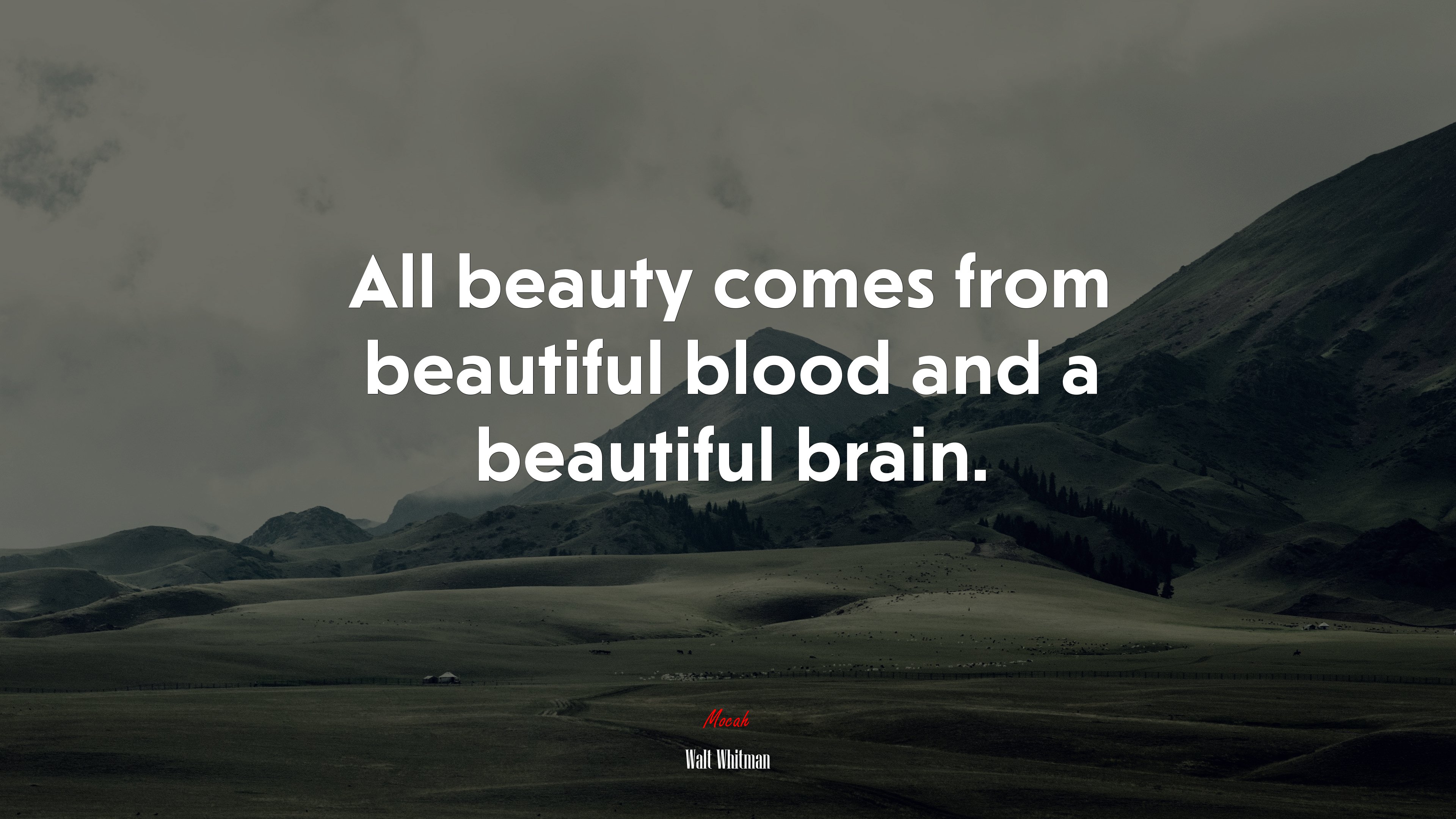 All beauty comes from beautiful blood and a beautiful brain. | Walt Whitman quote HD Wallpaper