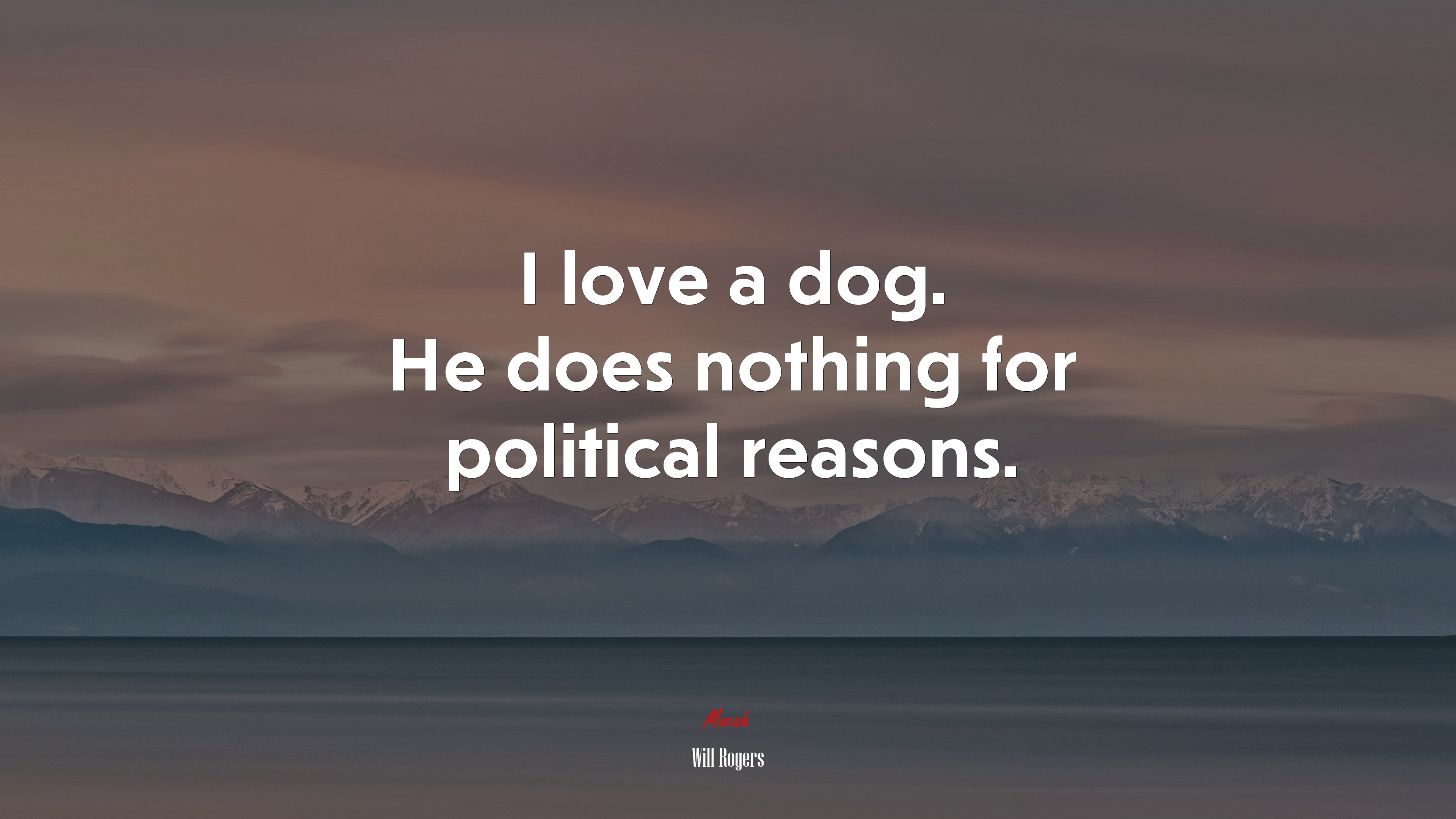 I love a dog. He does nothing for political reasons. | Will Rogers quote HD Wallpaper