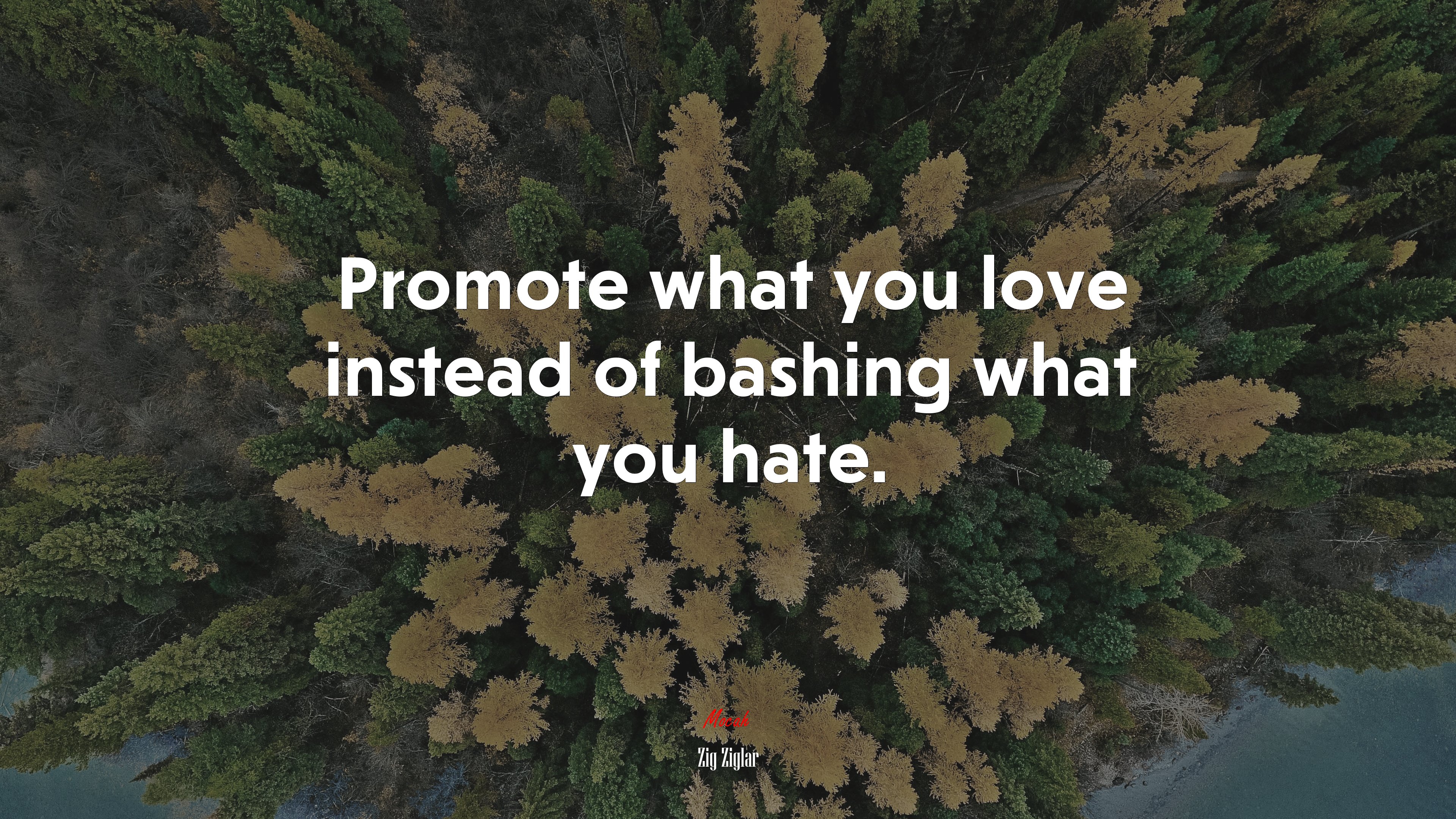 Promote what you love instead of bashing what you hate. | Zig Ziglar quote HD Wallpaper