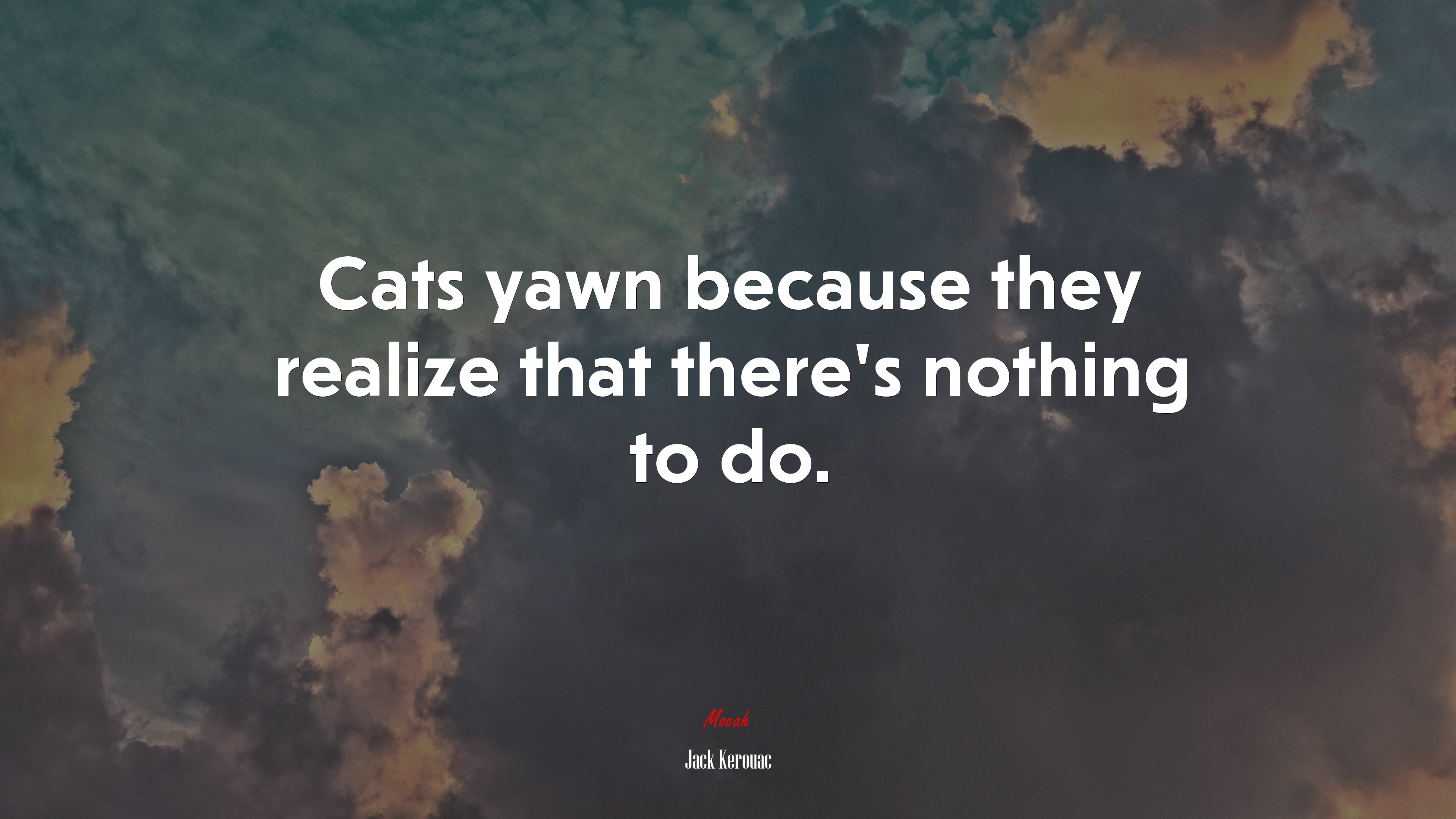 Cats yawn because they realize that there’s nothing to do. | Jack Kerouac quote HD Wallpaper