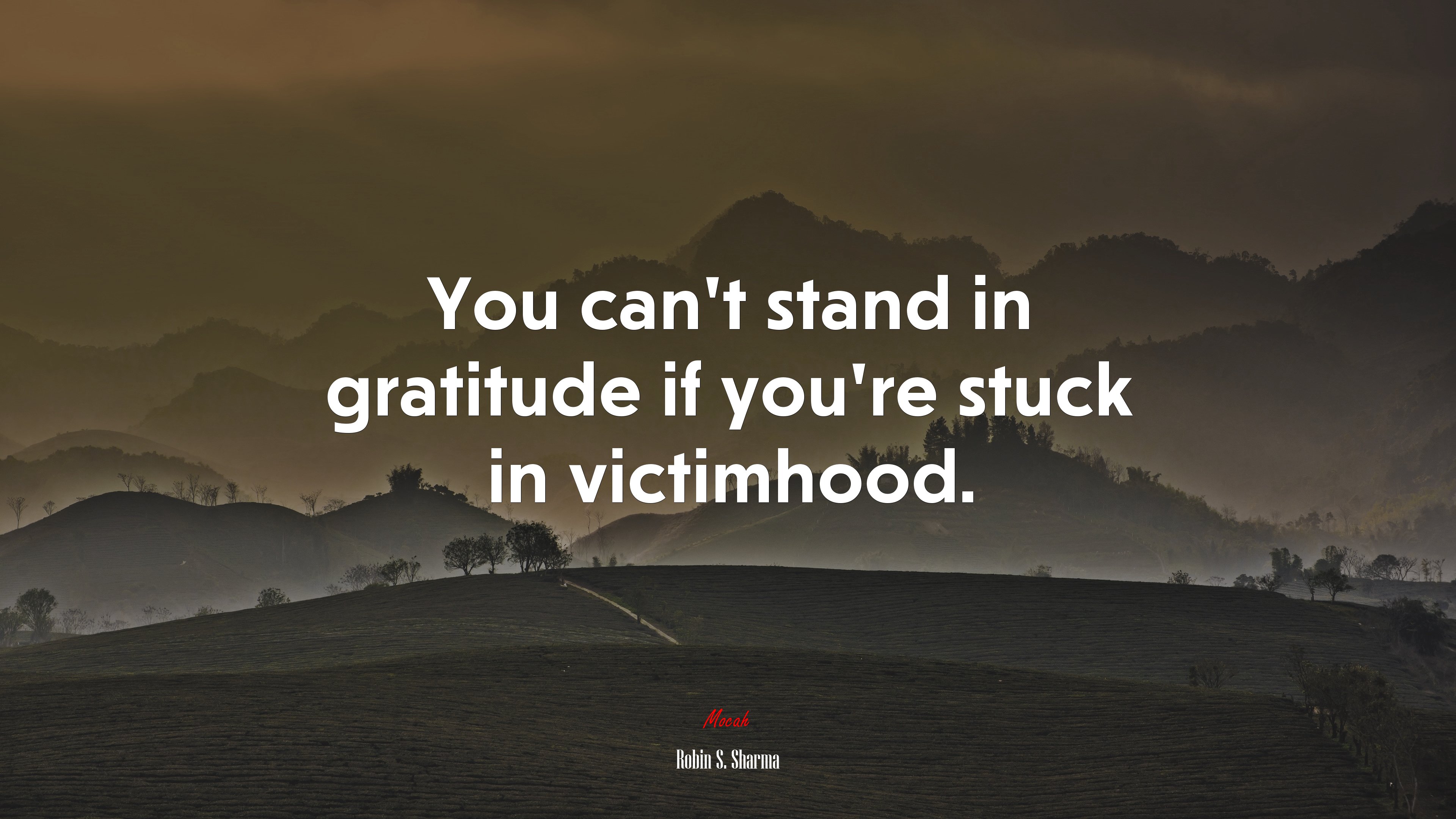 You can’t stand in gratitude if you’re stuck in victimhood. | Robin S. Sharma quote HD Wallpaper