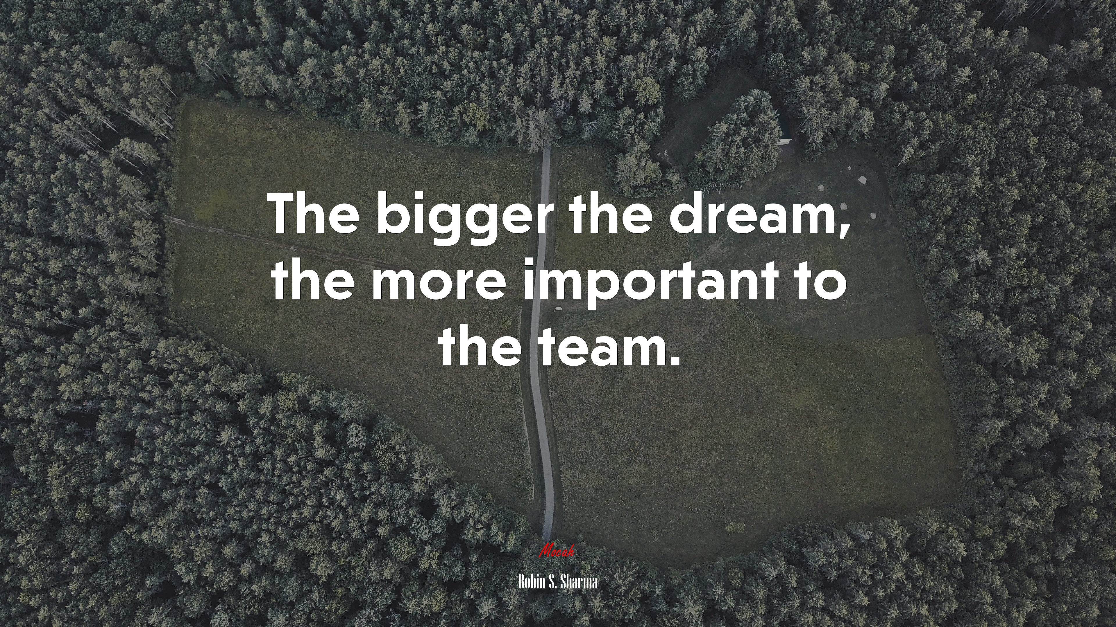 The bigger the dream, the more important to the team. | Robin S. Sharma quote HD Wallpaper