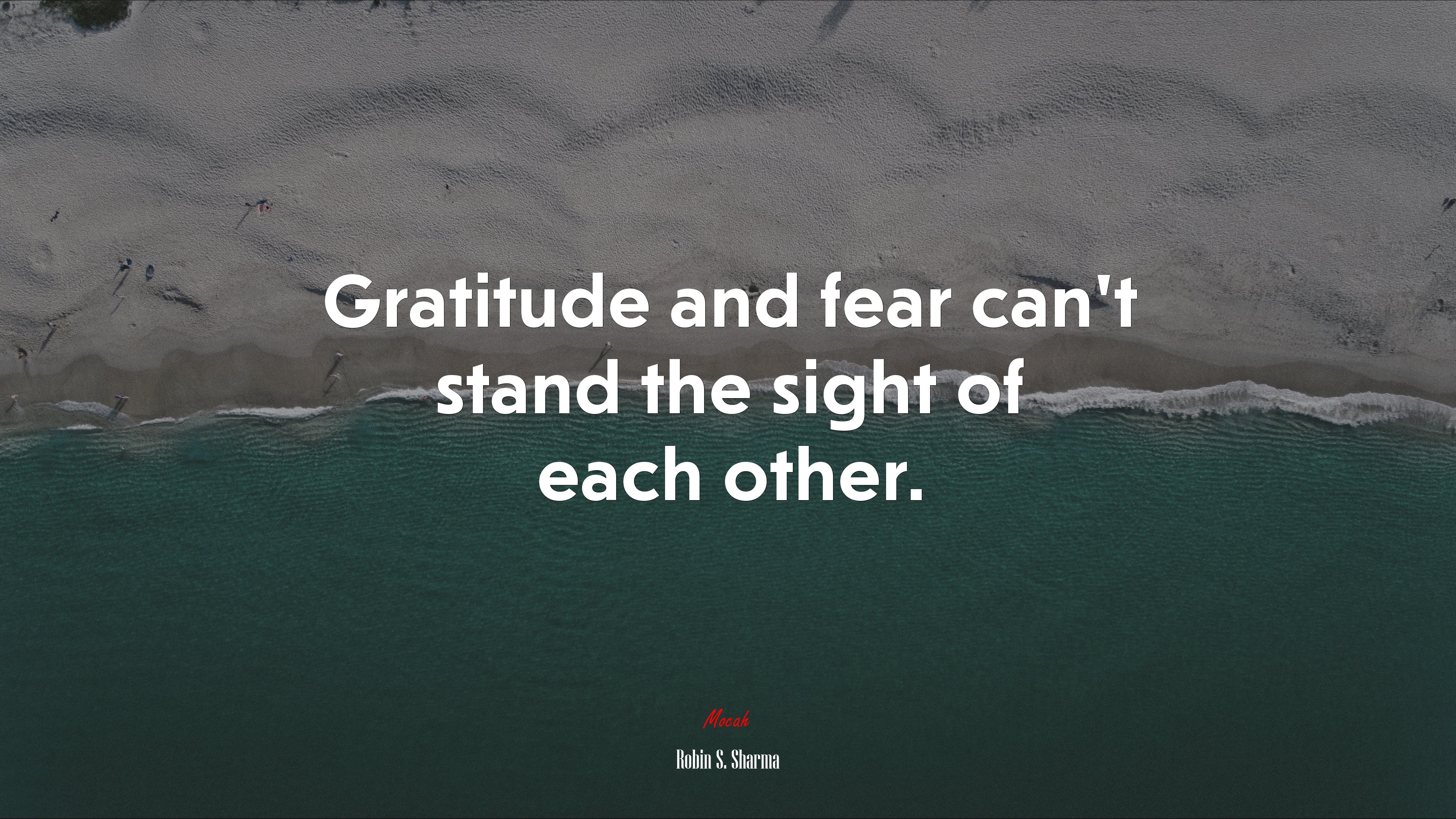 Gratitude and fear can’t stand the sight of each other. | Robin S. Sharma quote HD Wallpaper