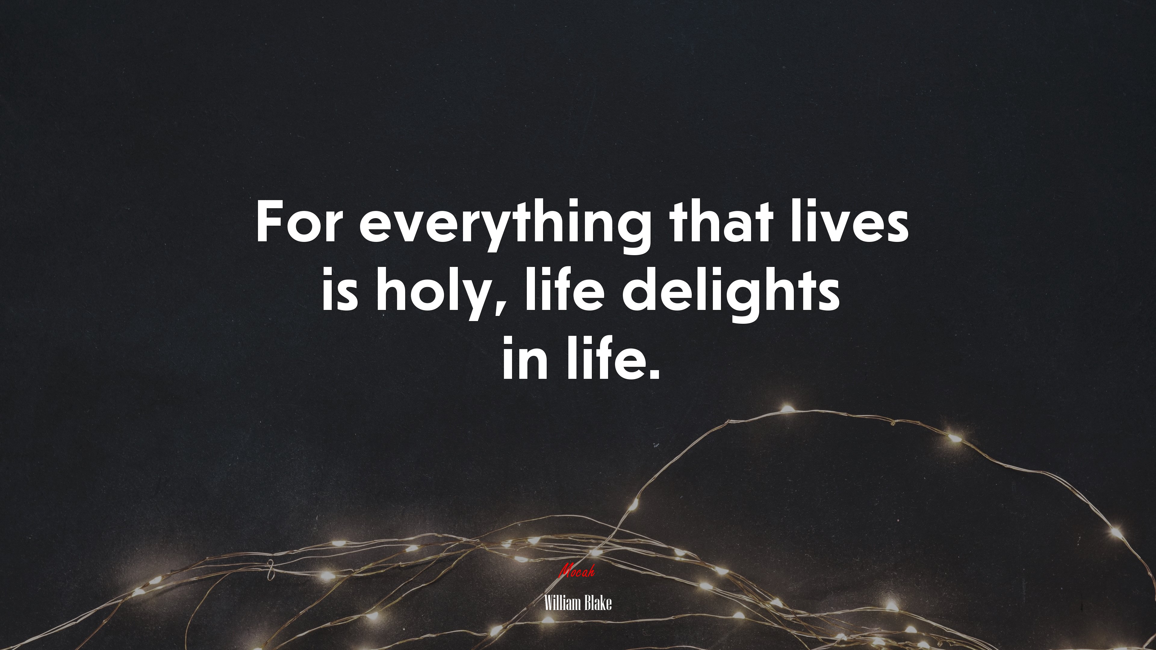For everything that lives is holy, life delights in life. | William Blake quote HD Wallpaper