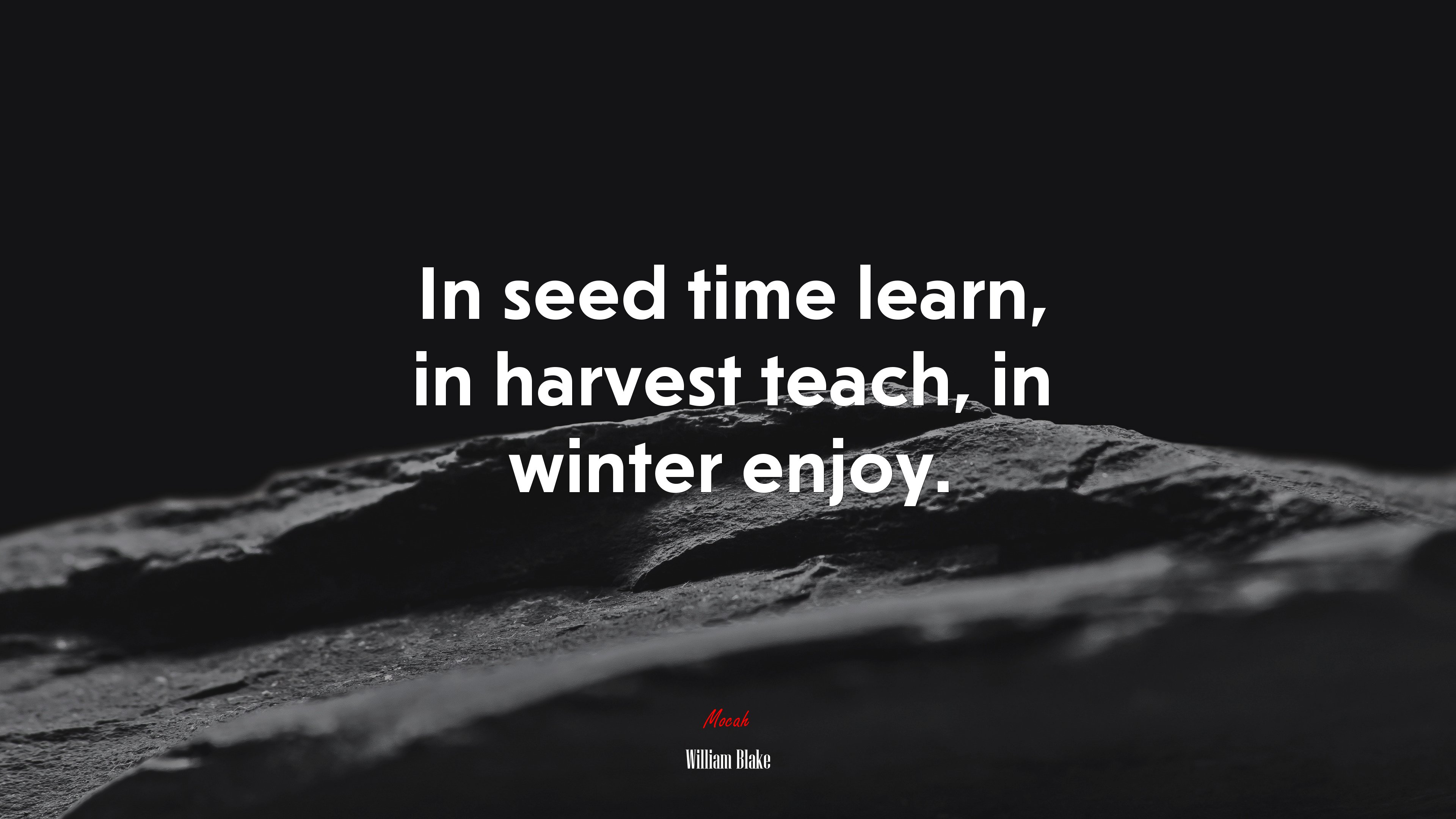 In seed time learn, in harvest teach, in winter enjoy. | William Blake quote HD Wallpaper