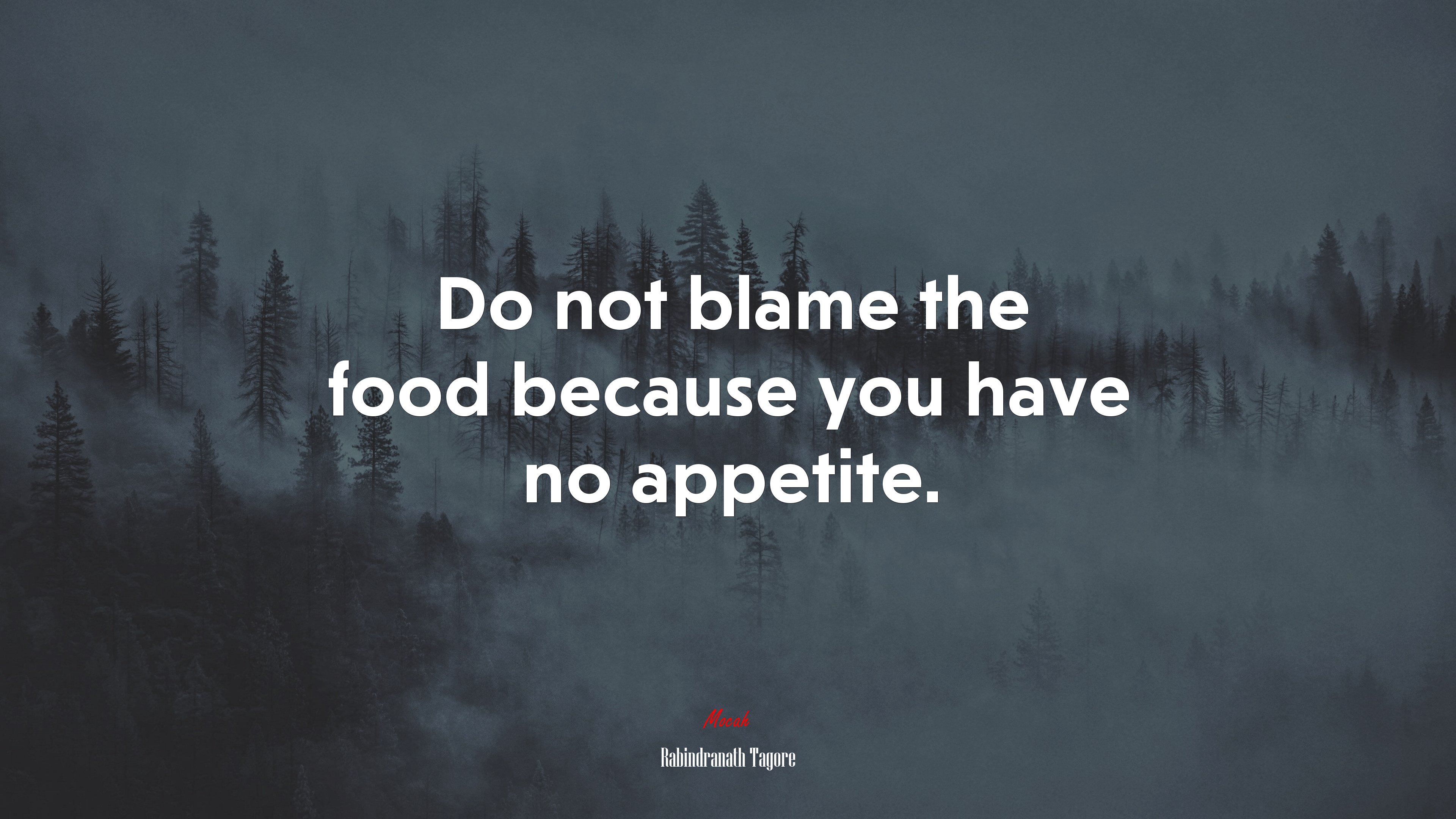 Do not blame the food because you have no appetite. | Rabindranath Tagore quote HD Wallpaper
