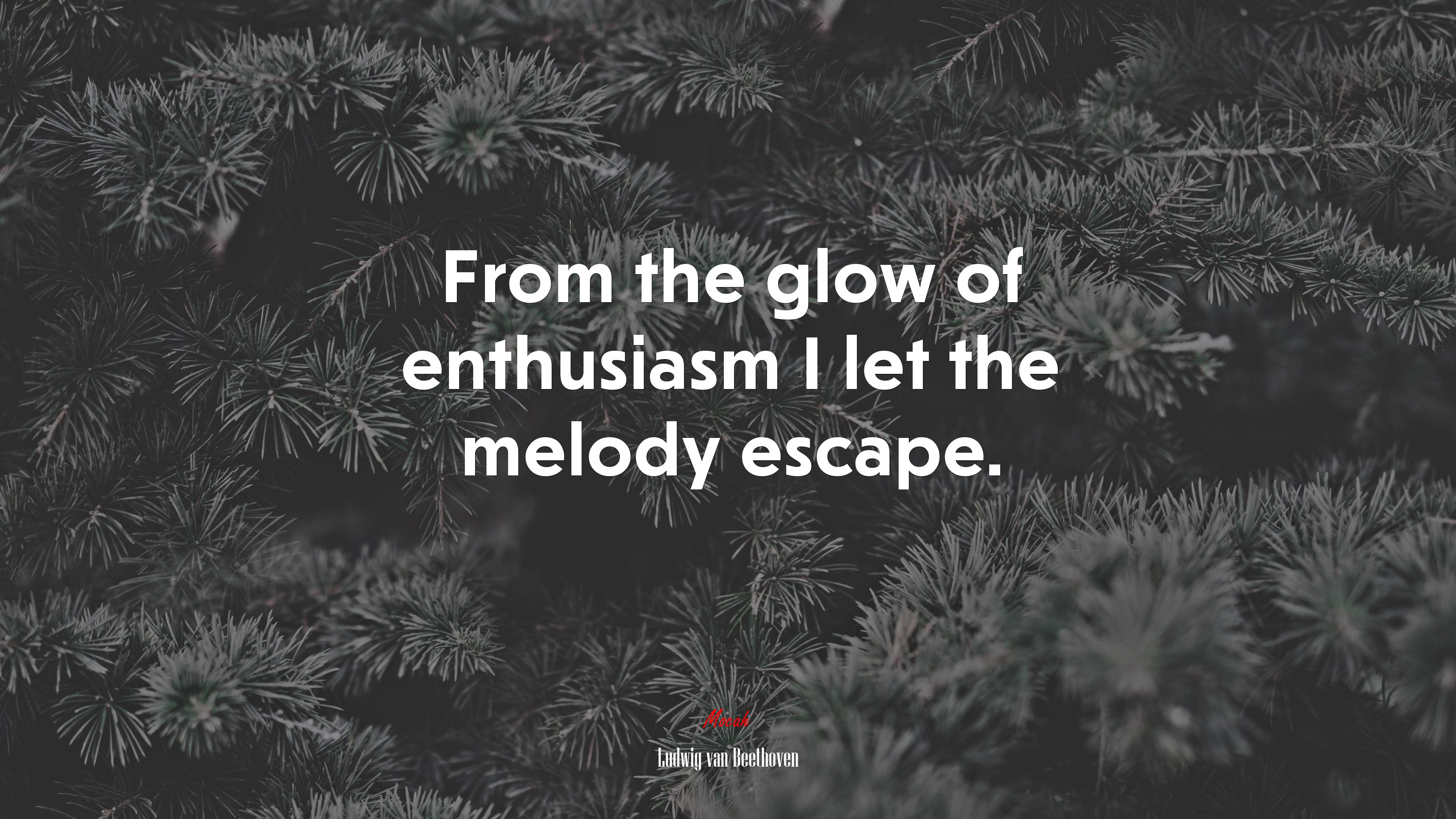 From the glow of enthusiasm I let the melody escape. | Ludwig van Beethoven quote HD Wallpaper