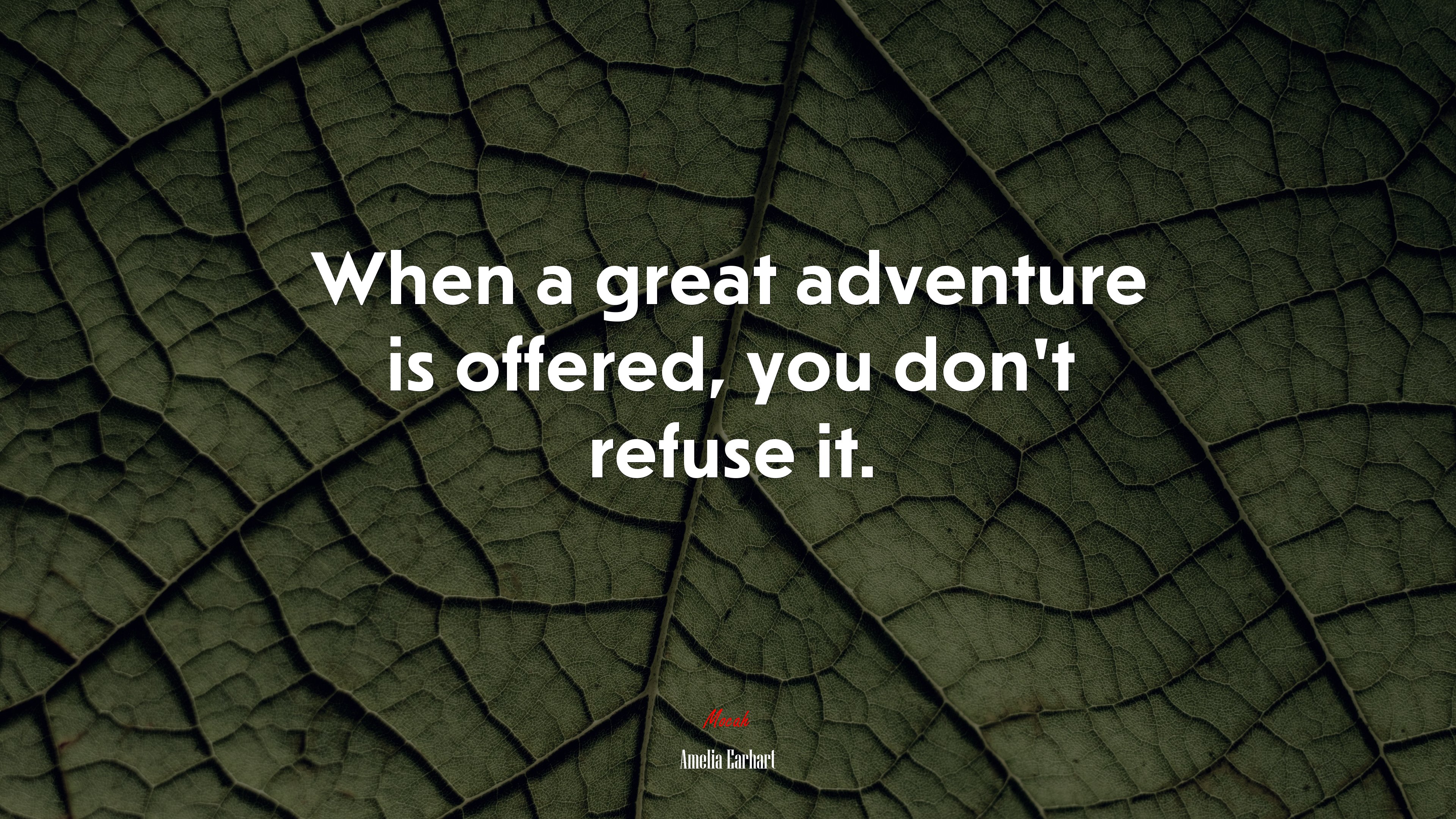 When a great adventure is offered, you don’t refuse it. | Amelia Earhart quote HD Wallpaper