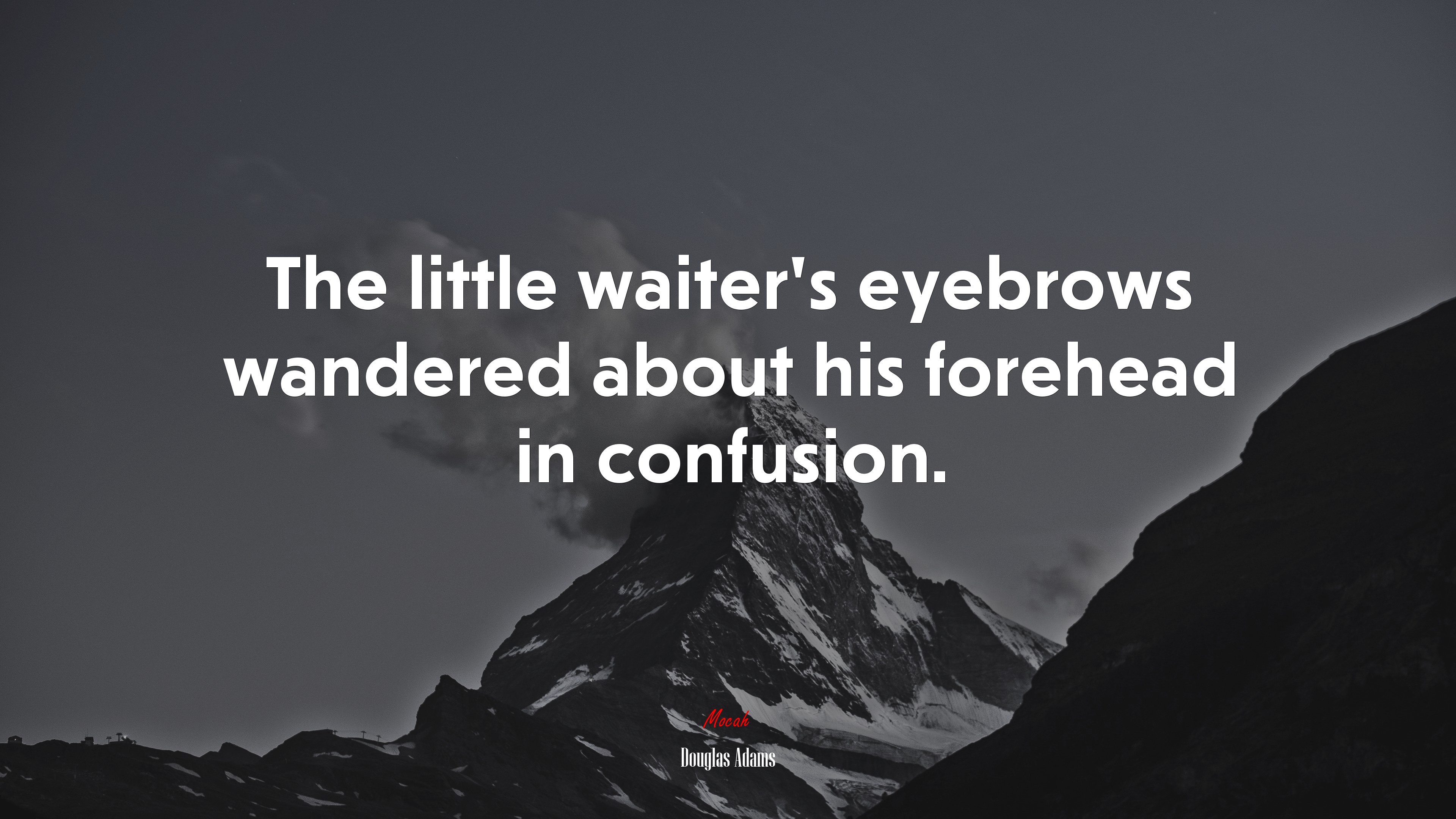 The little waiter’s eyebrows wandered about his forehead in confusion. | Douglas Adams quote HD Wallpaper