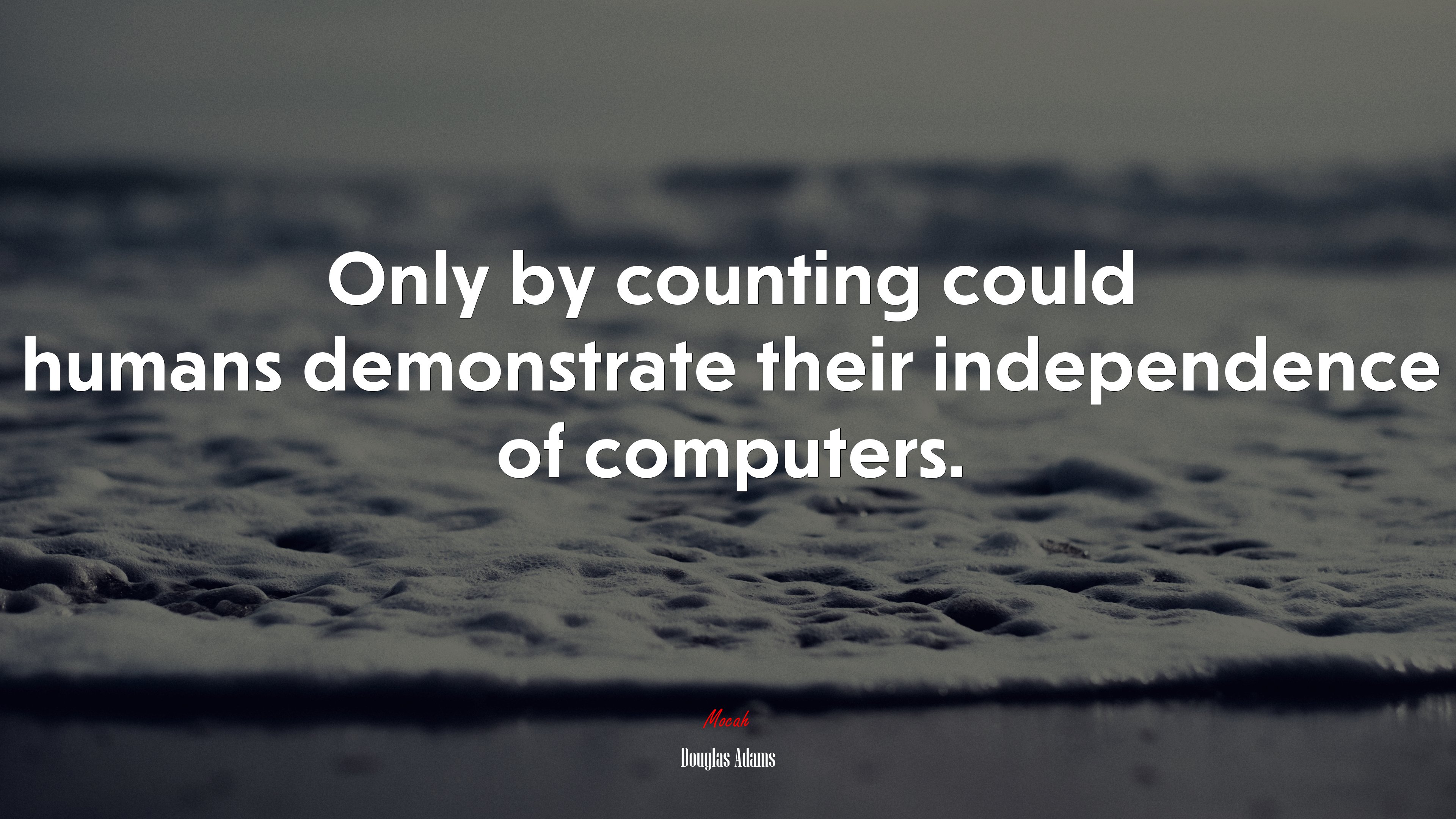 Only by counting could humans demonstrate their independence of computers. | Douglas Adams quote HD Wallpaper