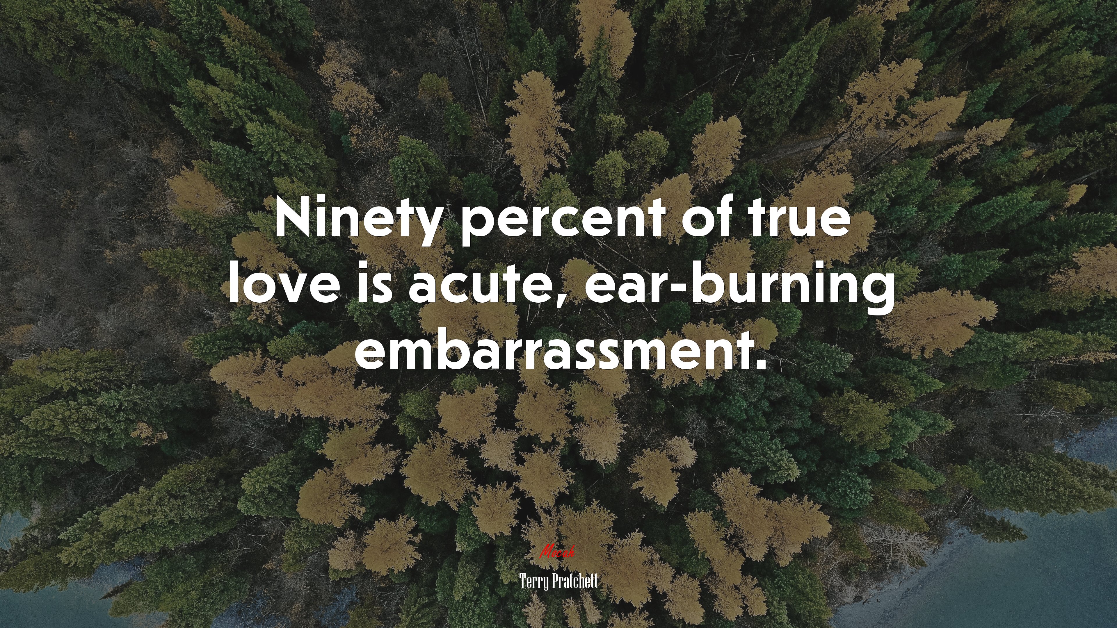 Ninety percent of true love is acute, ear-burning embarrassment. | Terry Pratchett quote HD Wallpaper