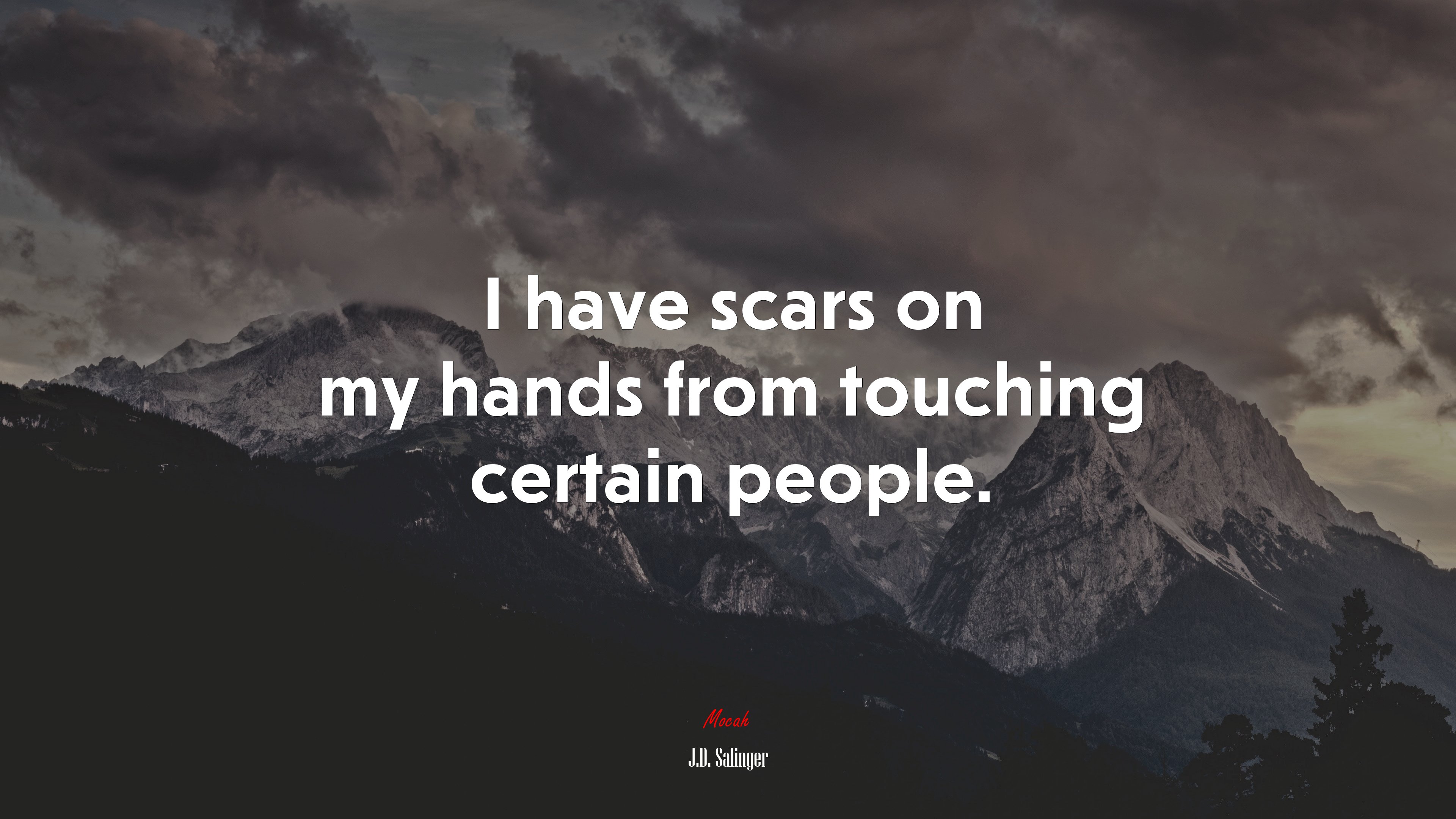 I have scars on my hands from touching certain people. | J.D. Salinger quote HD Wallpaper