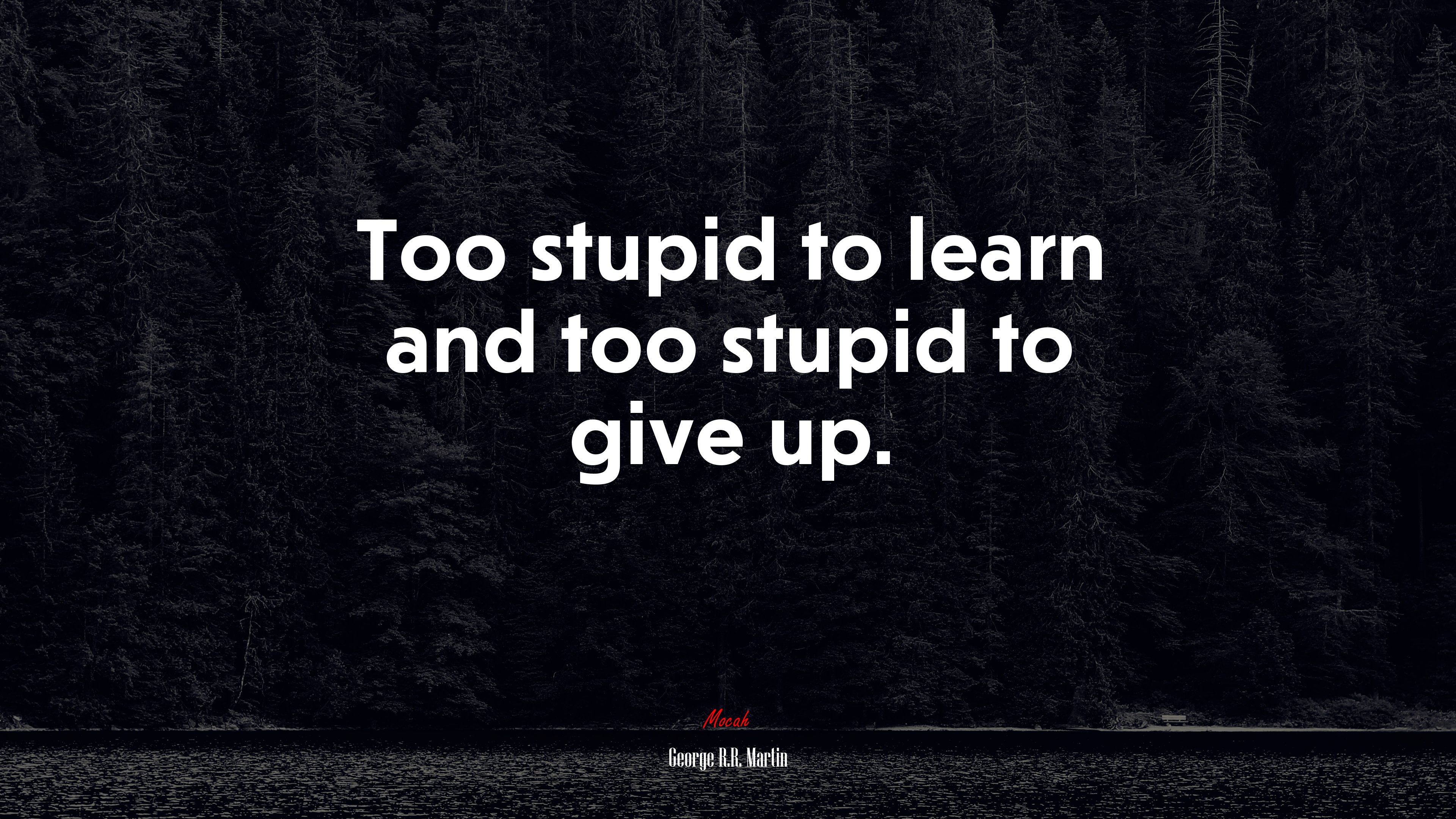 Too stupid to learn and too stupid to give up. | George R.R. Martin quote HD Wallpaper