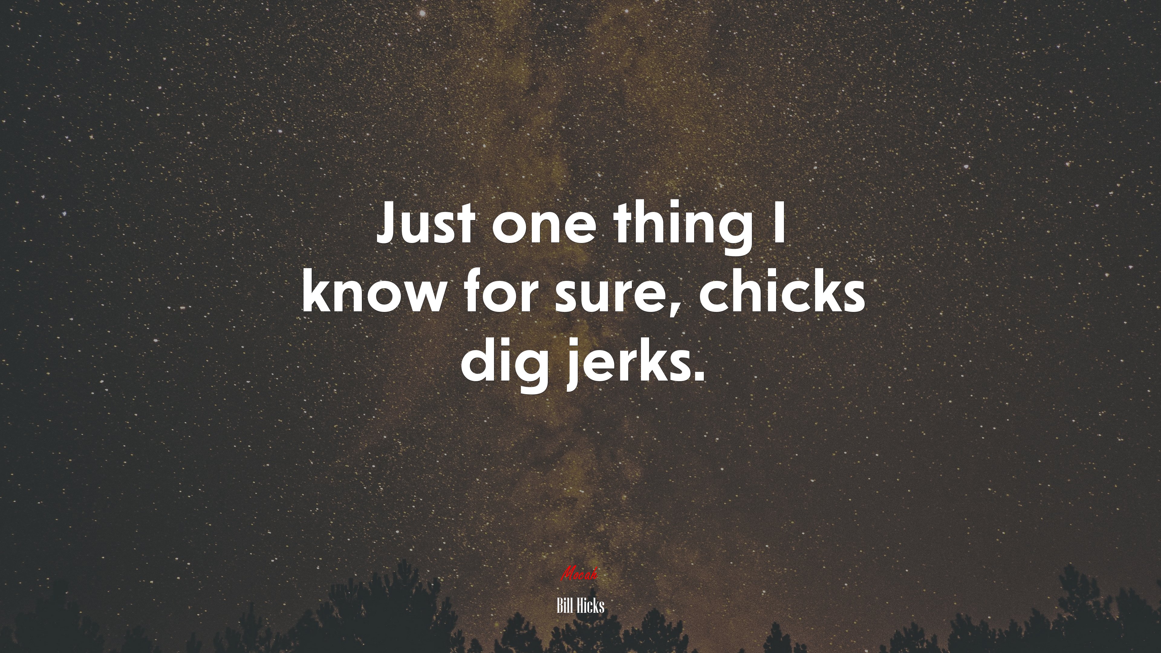 Just one thing I know for sure, chicks dig jerks. | Bill Hicks quote HD Wallpaper
